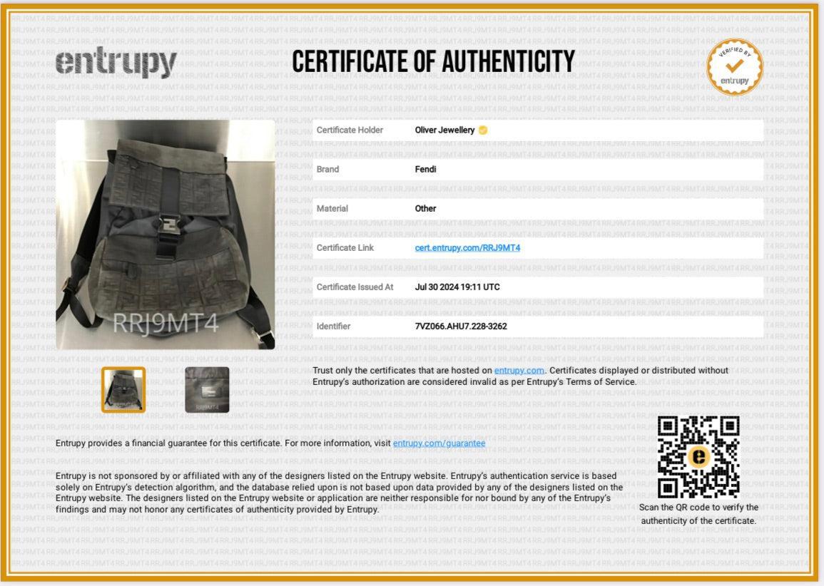 Fendi Brown FF Zucca Embossed Suede Grey Nylon Medium Fendiness Roma Backpack