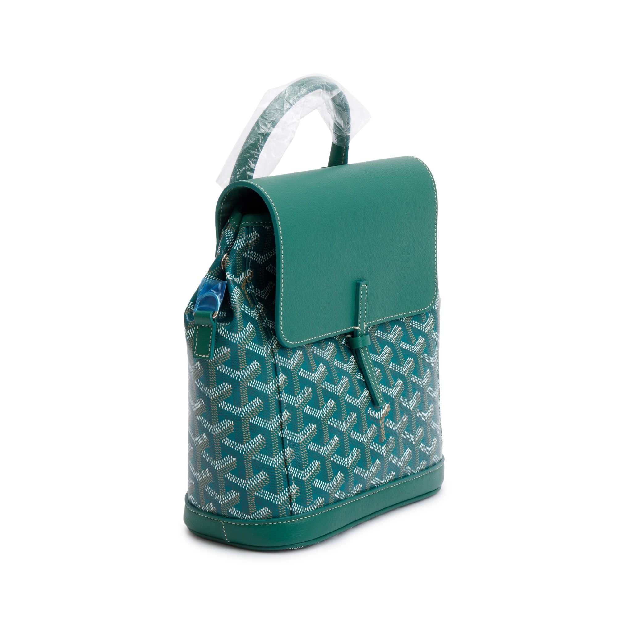 Goyard 2023 Green Monogram Canvas Calfskin Alpin Mini Backpack