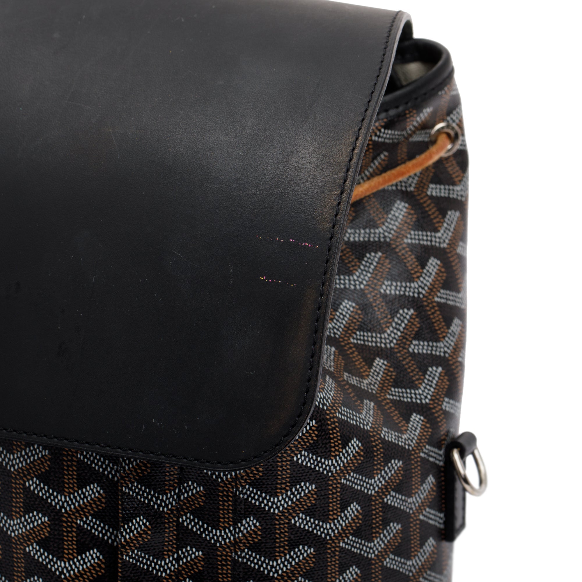 Goyard Black Goyardine Calfskin Alpin Backpack MM