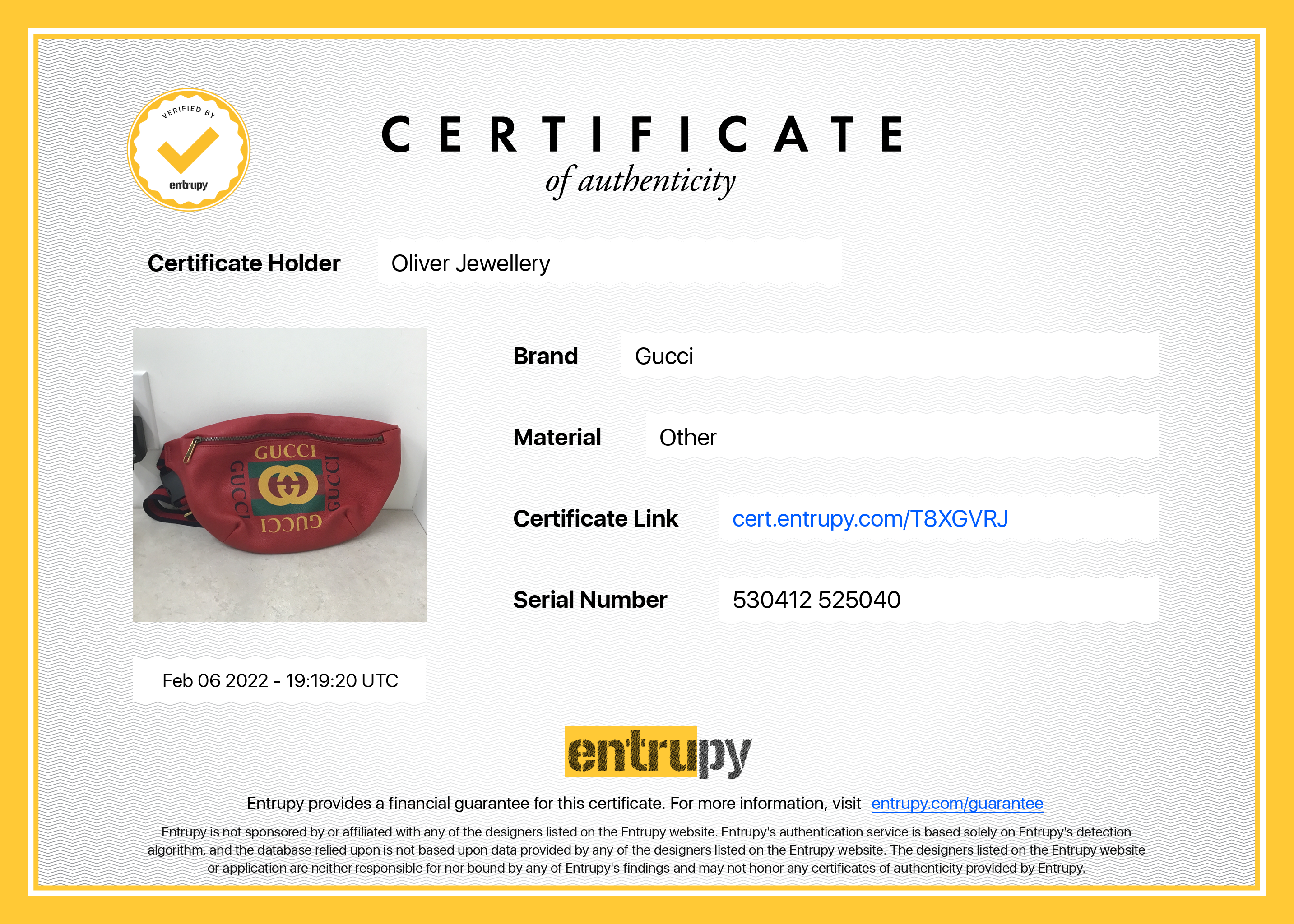 Gucci Print Leather Belt Bag