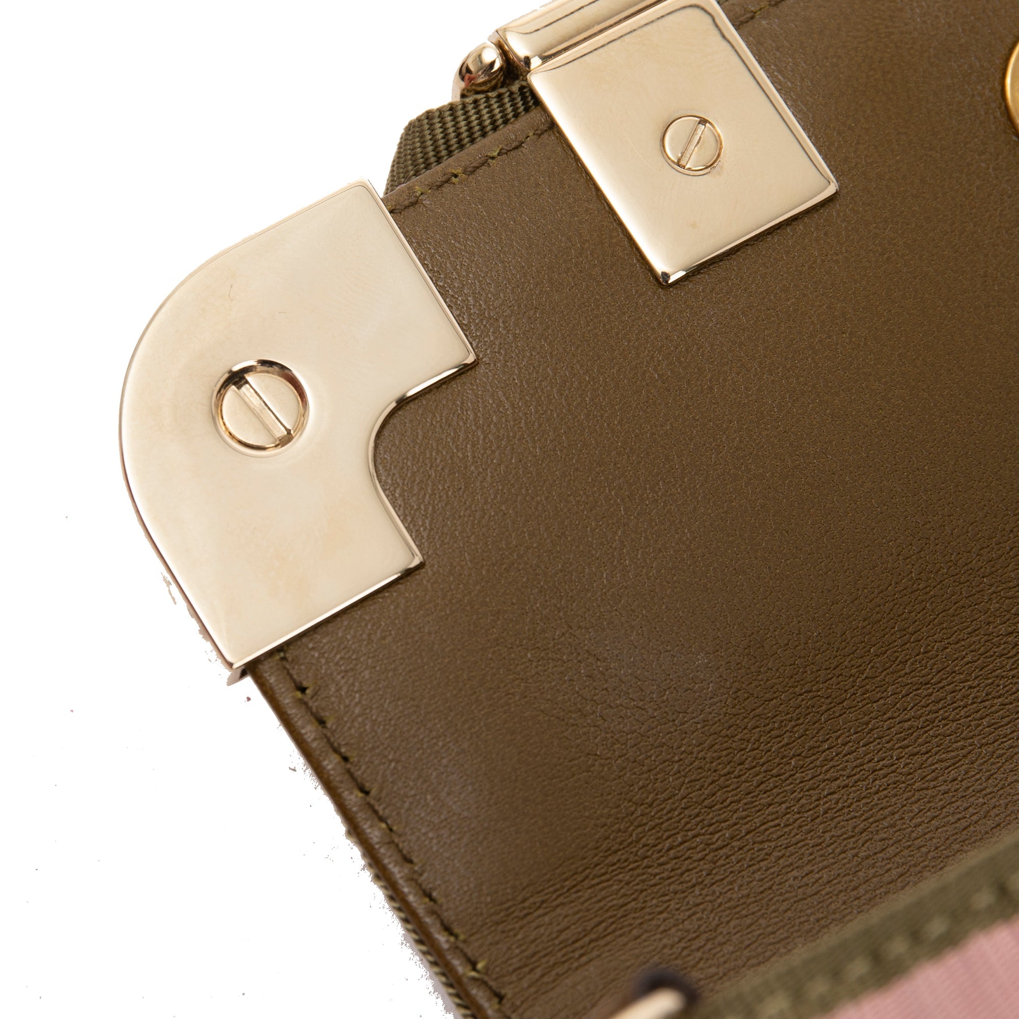 Gucci Small Silk Fauna Clutch