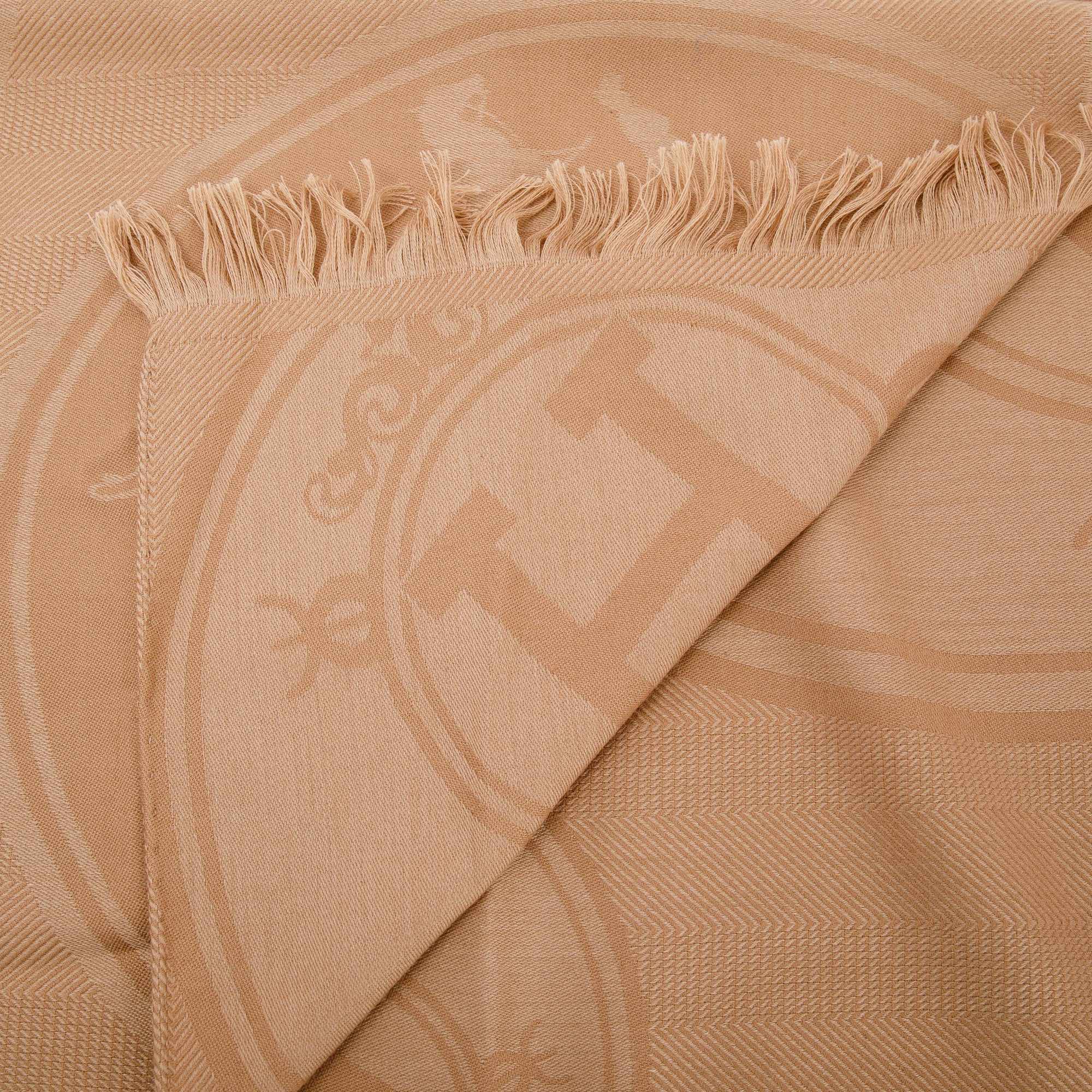 Hermes New Libris Cashmere & Silk Stole