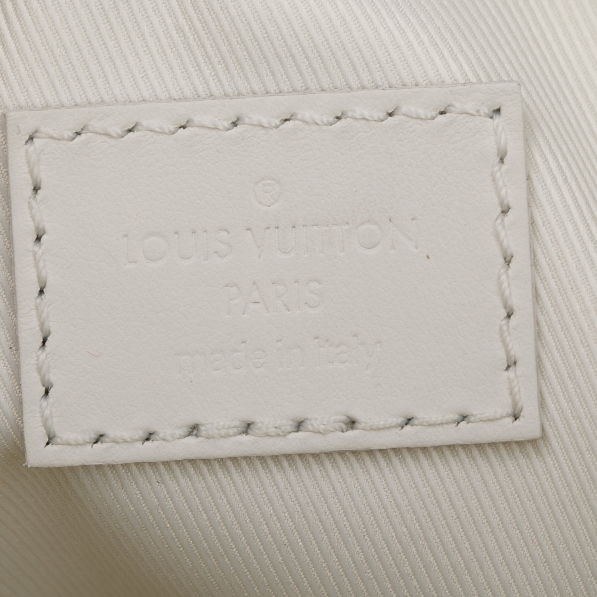 Louis Vuitton 2020 Embossed Monogram Taurillon Sac Plat 24H