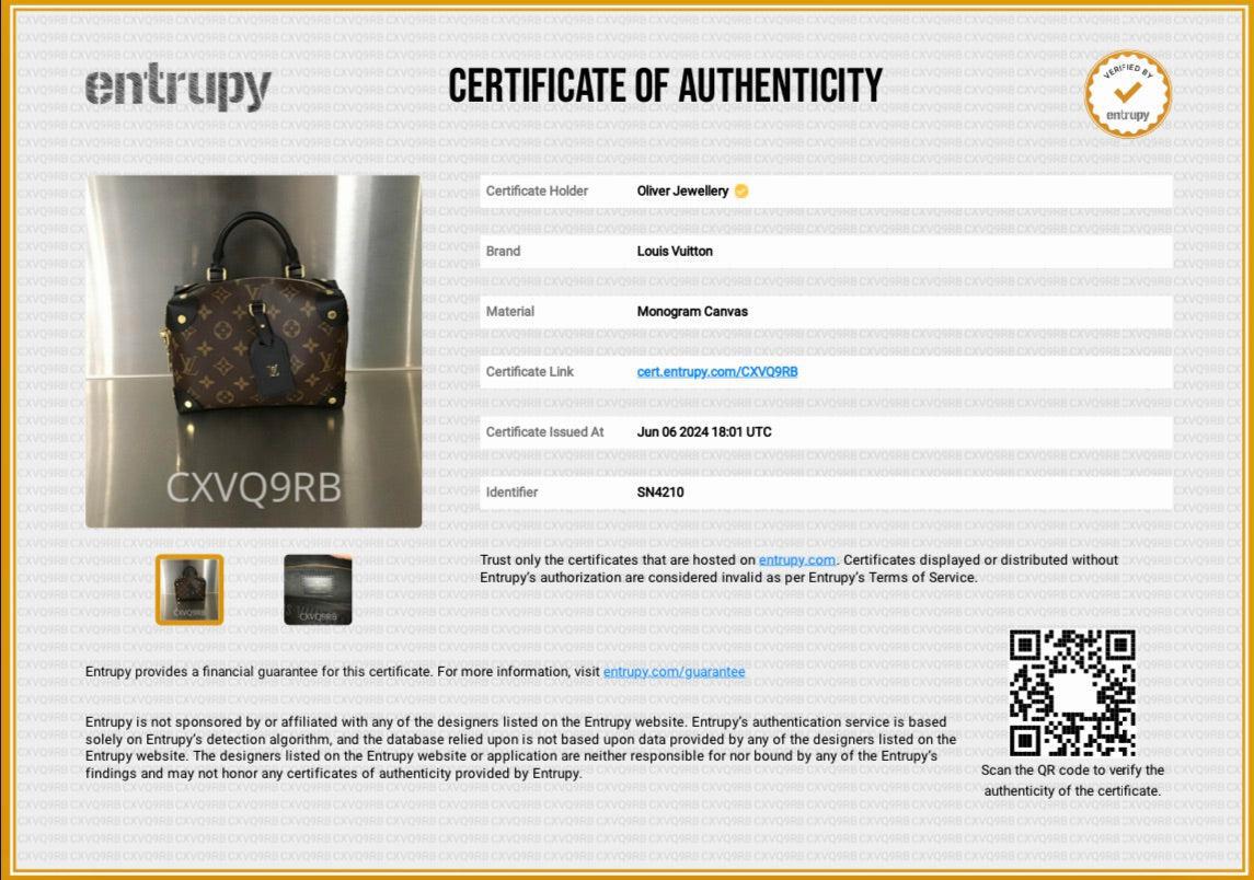 Louis Vuitton 2020 Monogram Black Calfskin Petite Malle Souple Bag w/ Straps