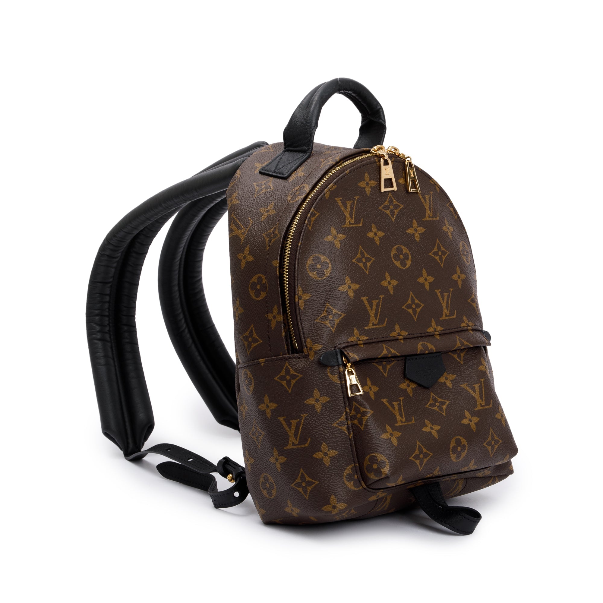 Louis Vuitton 2020 Monogram Palm Springs Backpack PM