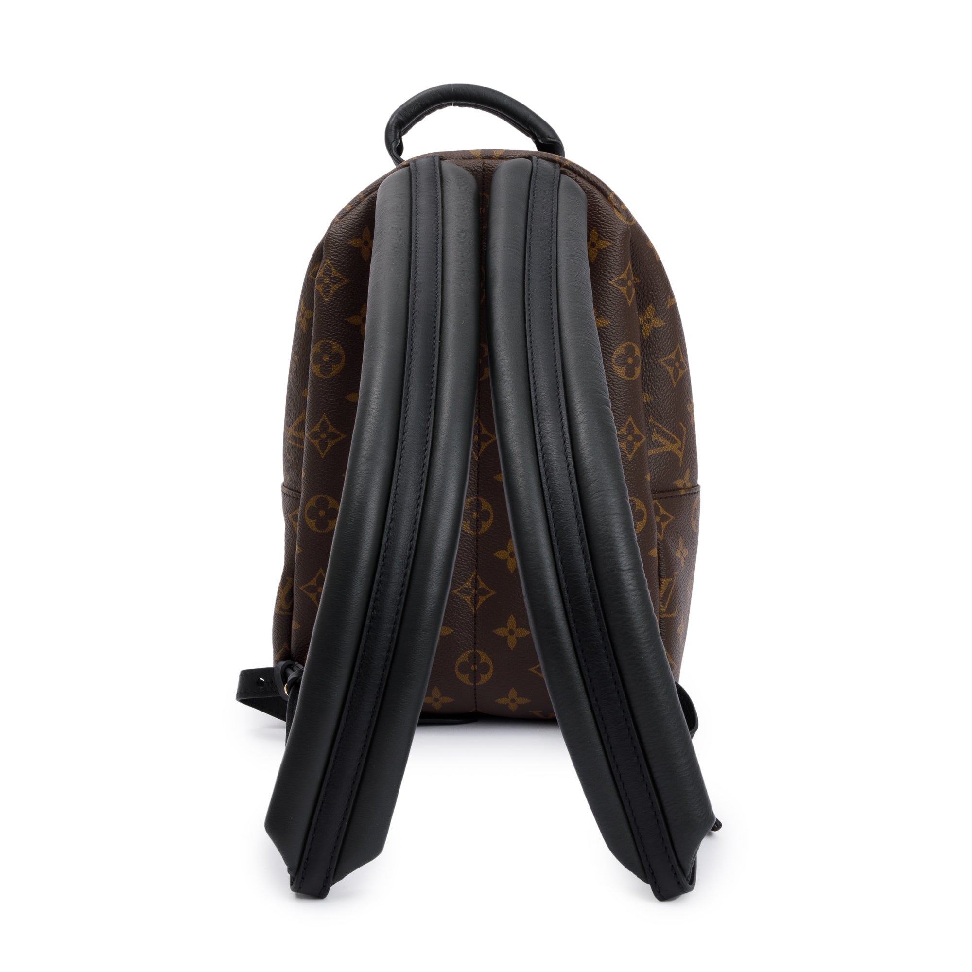 Louis Vuitton 2020 Monogram Palm Springs Backpack PM