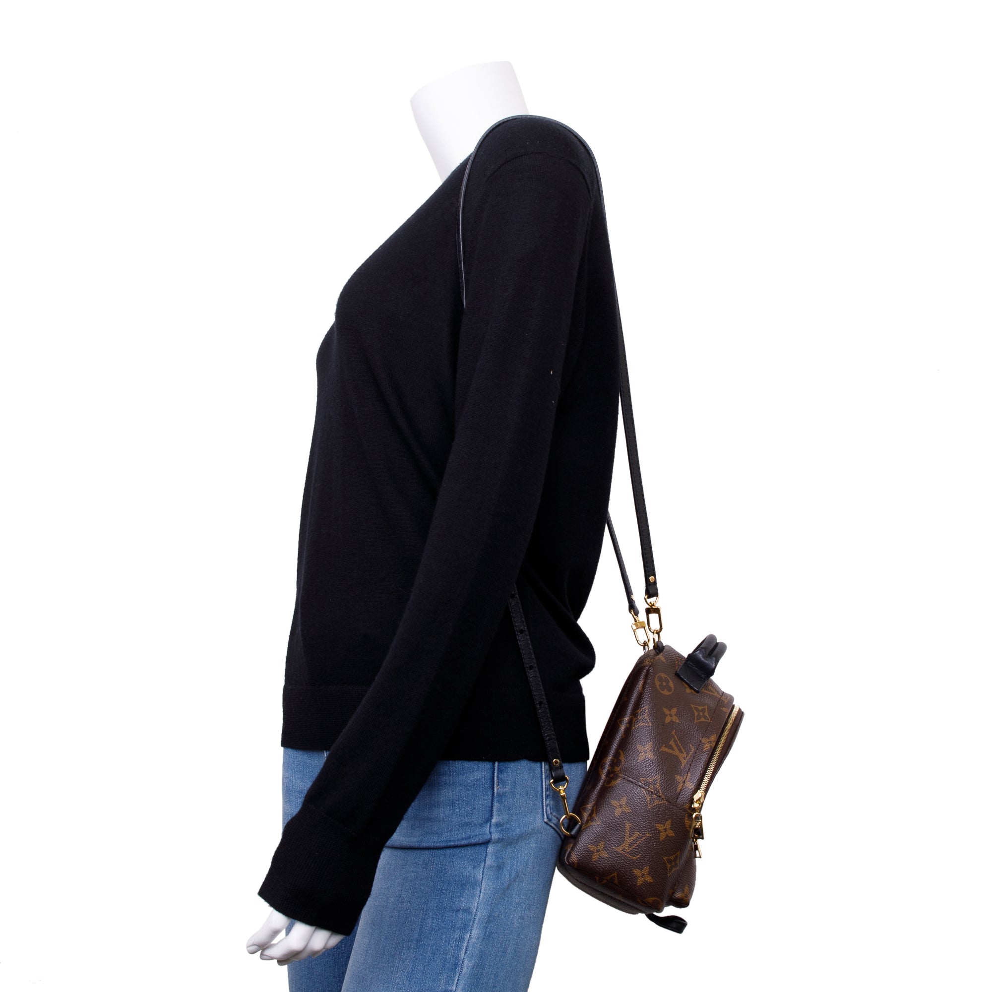 Louis Vuitton 2020 Monogram Palm Springs Mini Backpack w/ Box