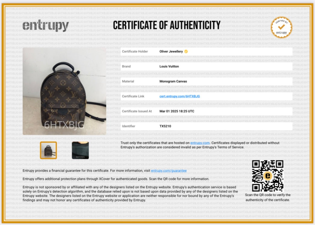 Louis Vuitton 2020 Monogram Palm Springs Mini Backpack w/ Box & Receipt