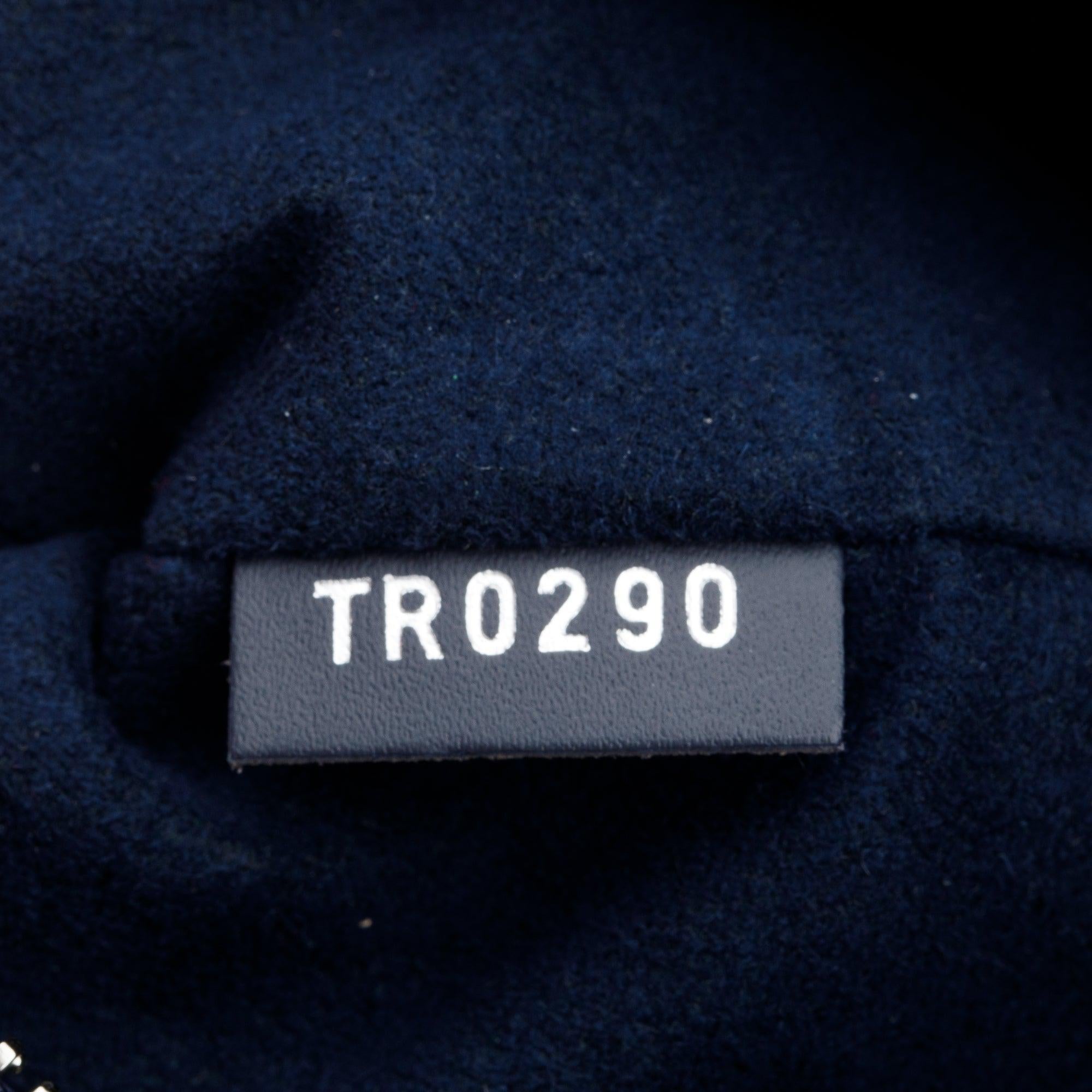 Louis Vuitton 2020 Navy Epi Leather Christopher PM Backpack