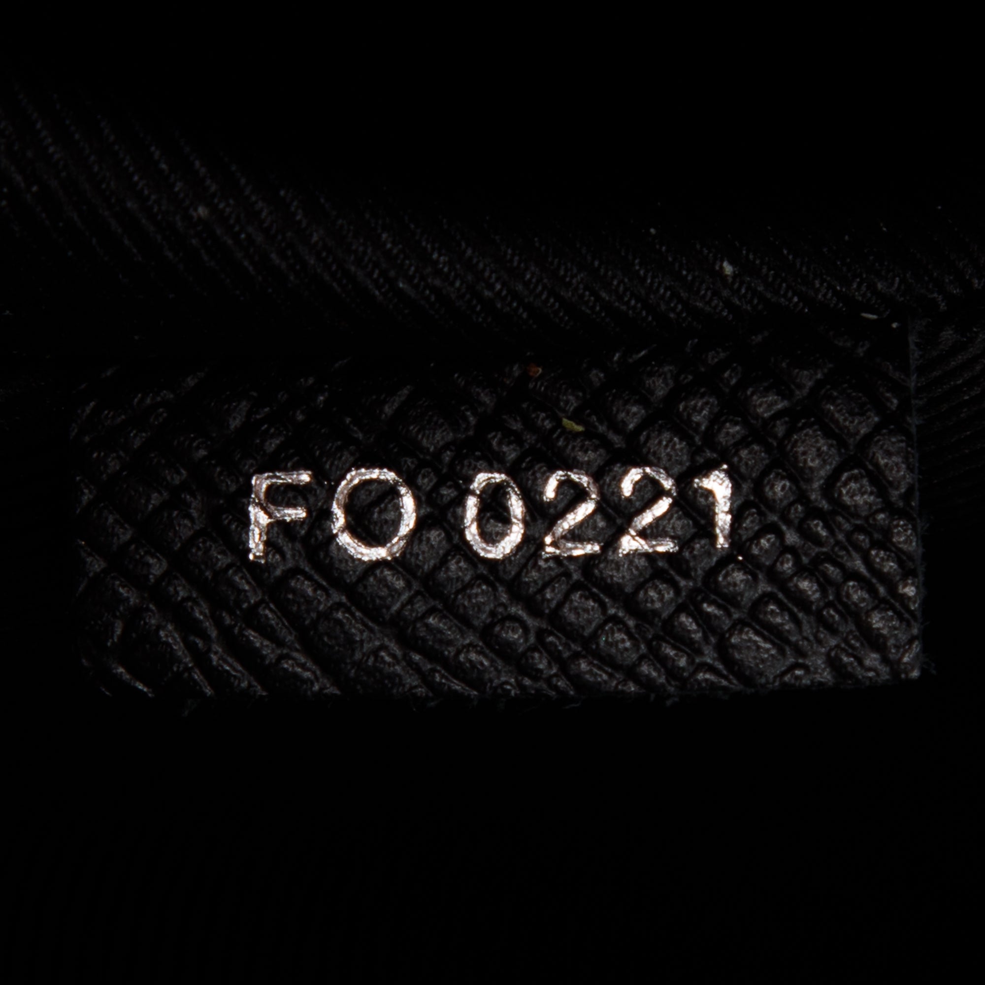 Louis Vuitton 2021 Monogram Taigarama Outdoor Bumbag