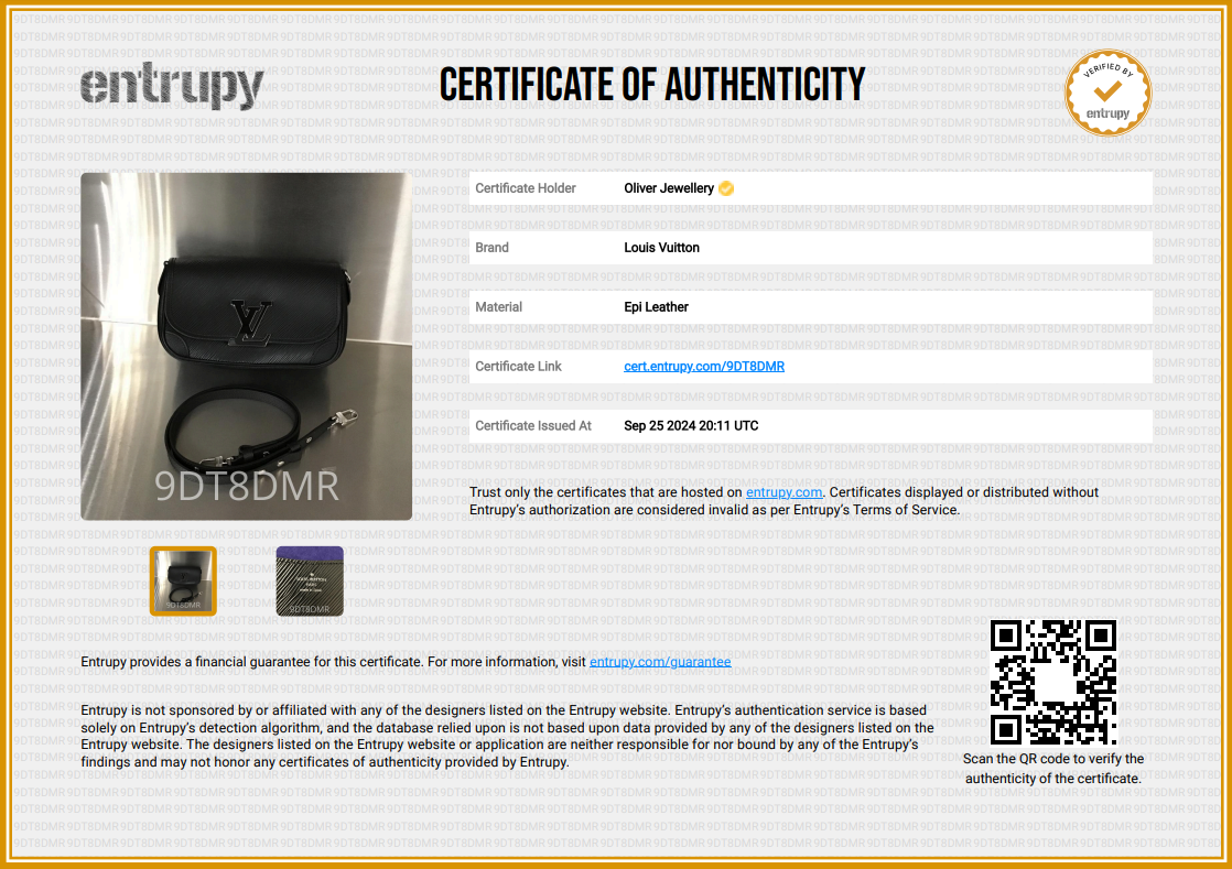 Louis Vuitton 2022 Black Epi Leather Buci Bag