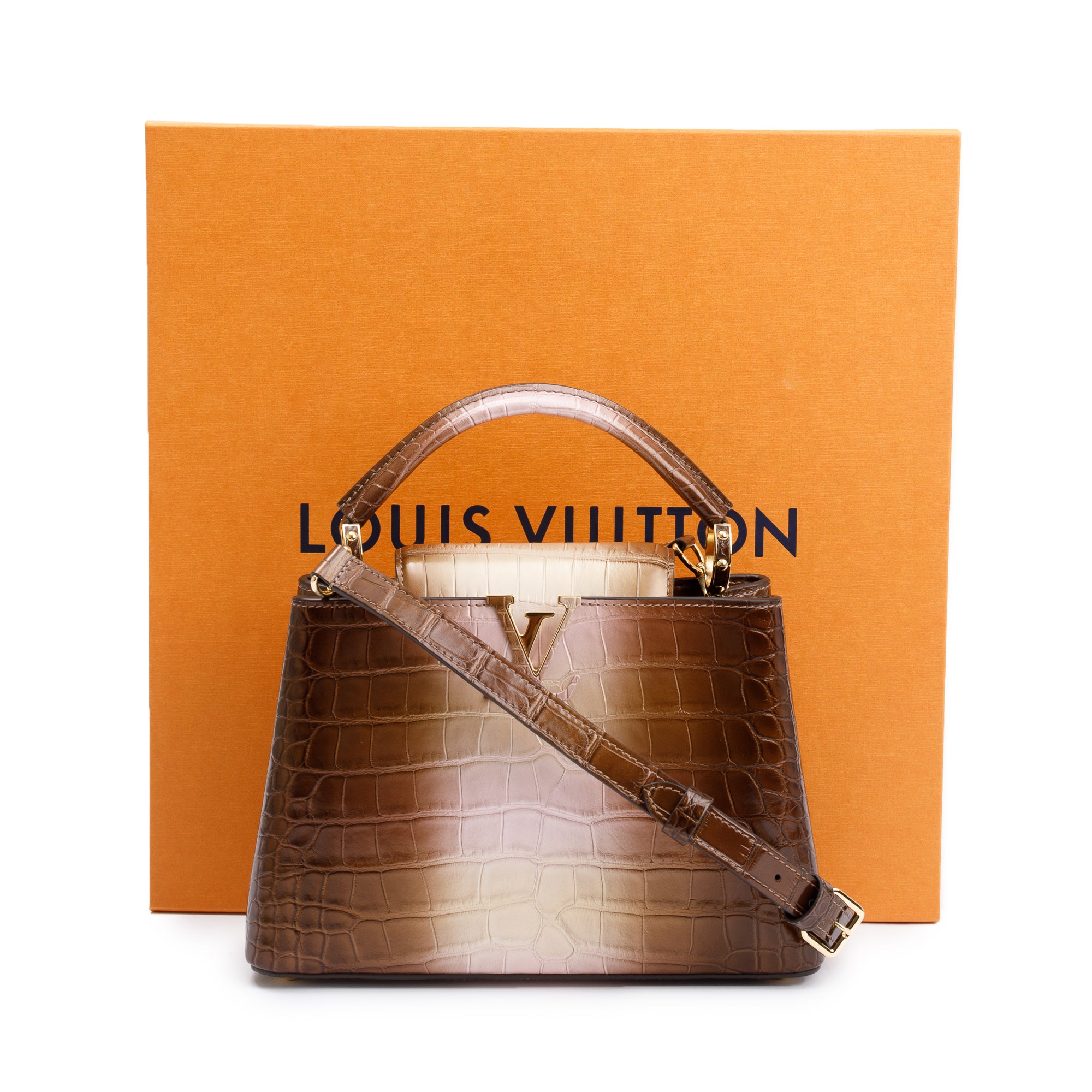 Louis Vuitton 2022 Brown/ Gold Alligator Ombre Capucines BB w/ Strap, Box & Papers