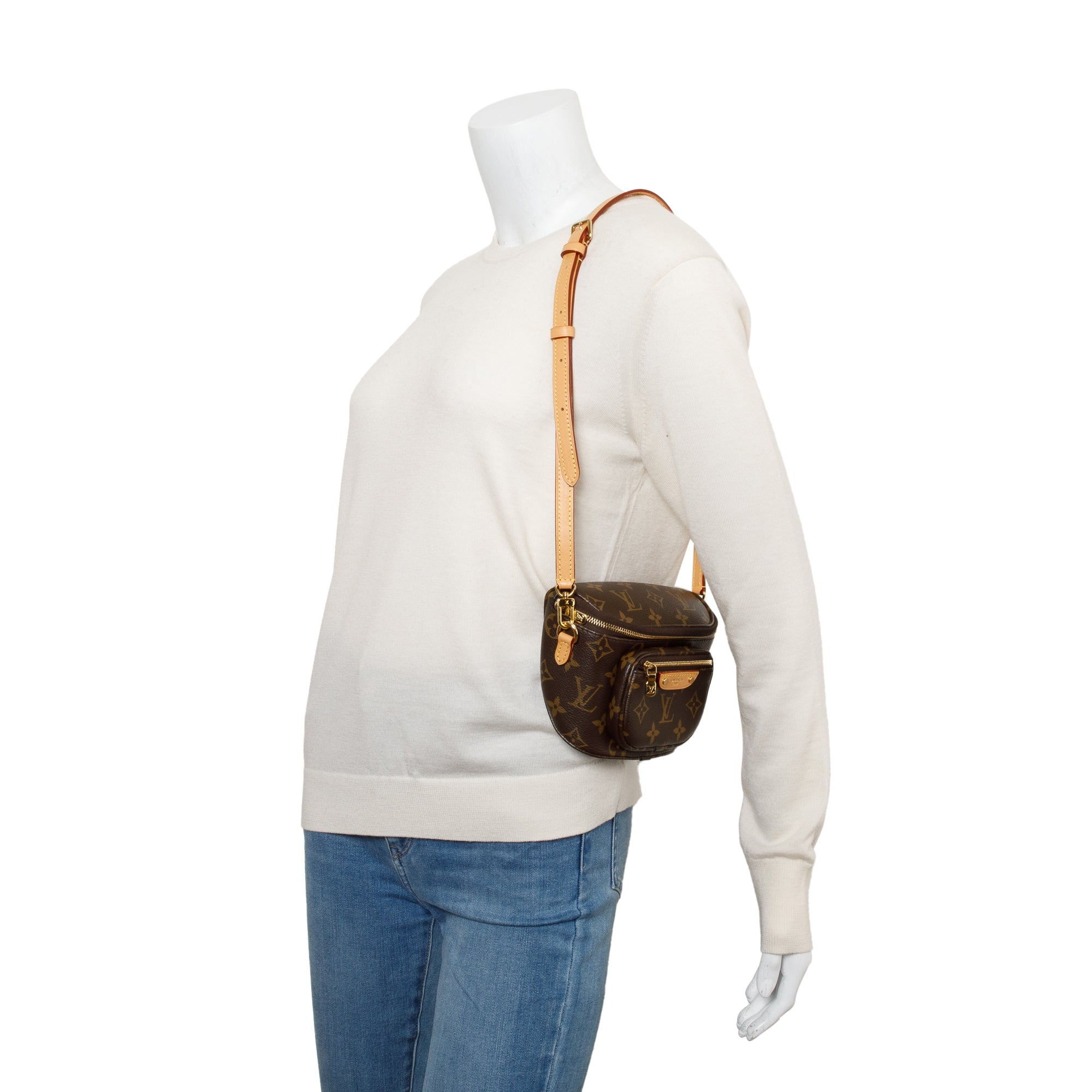 Louis Vuitton 2022 Monogram Mini Bumbag