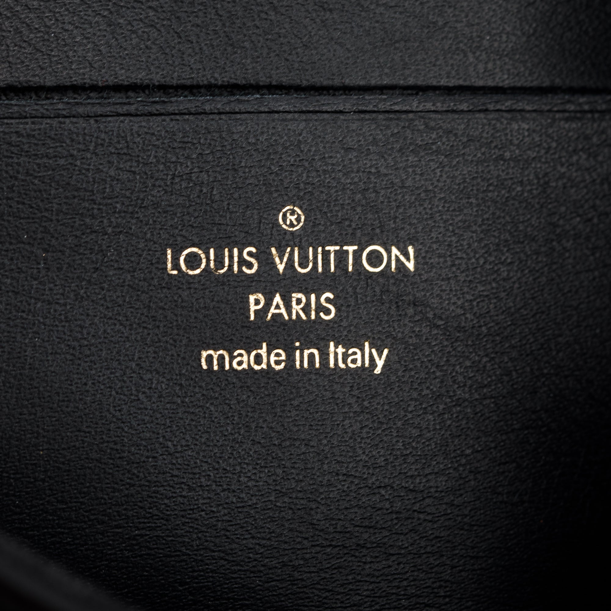 Louis Vuitton 2023 Black Bubblegram Calfskin Leather Wallet On Strap w/ Box & Receipt