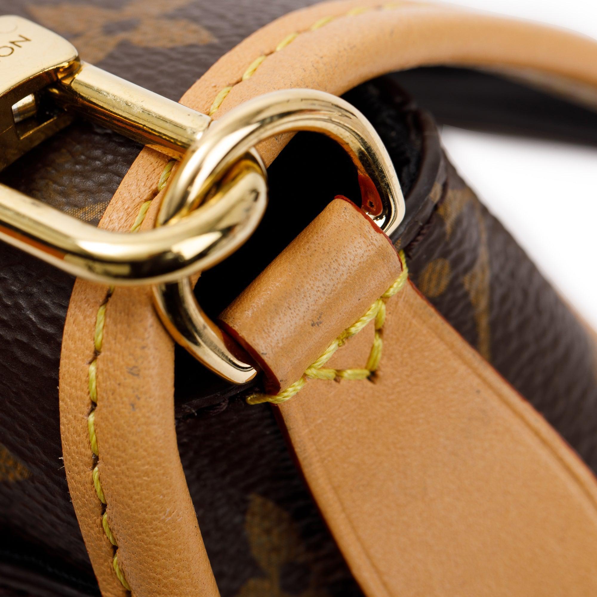 Louis Vuitton 2023 Monogram Diane PM w/ Straps, Box & Receipt