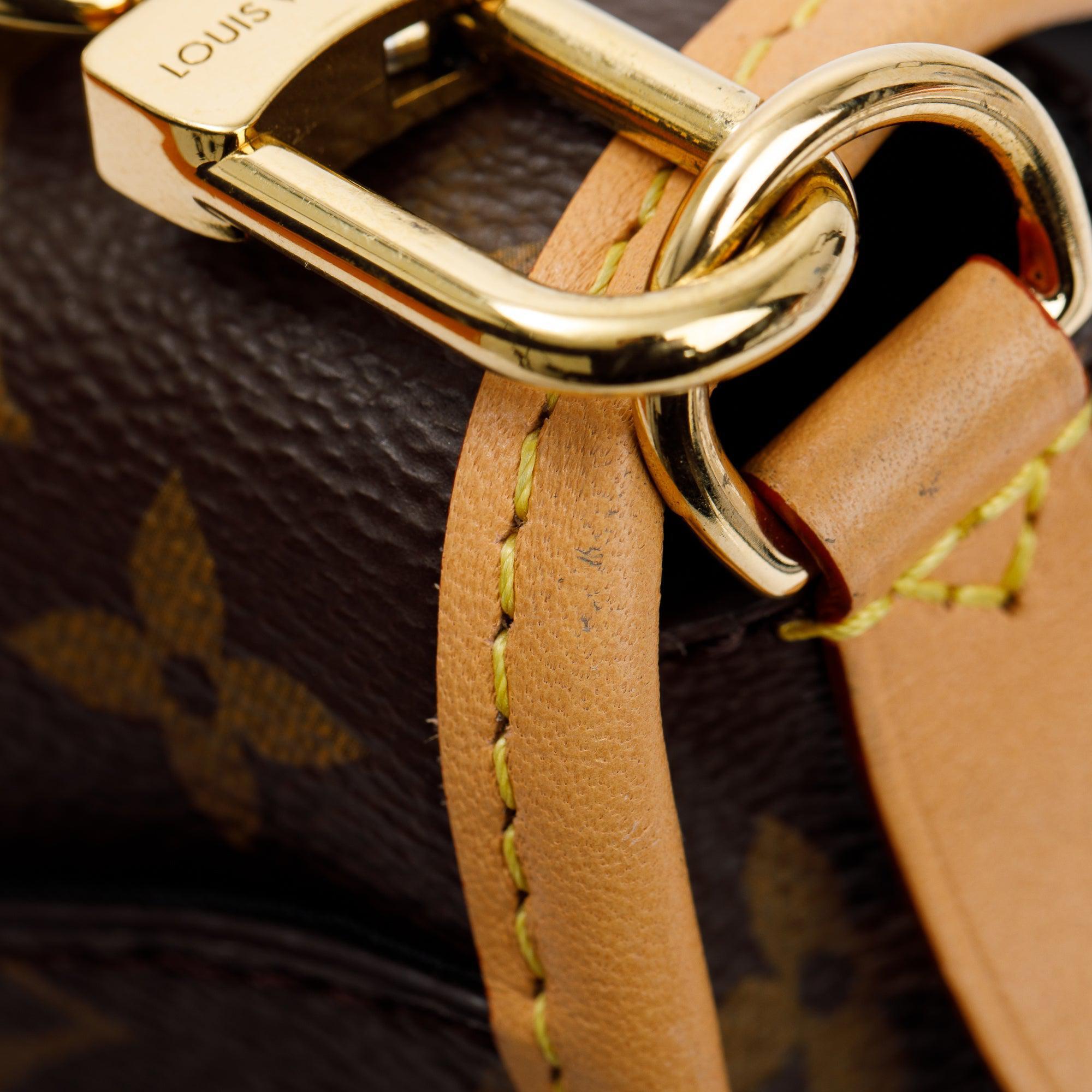 Louis Vuitton 2023 Monogram Diane PM w/ Straps, Box & Receipt