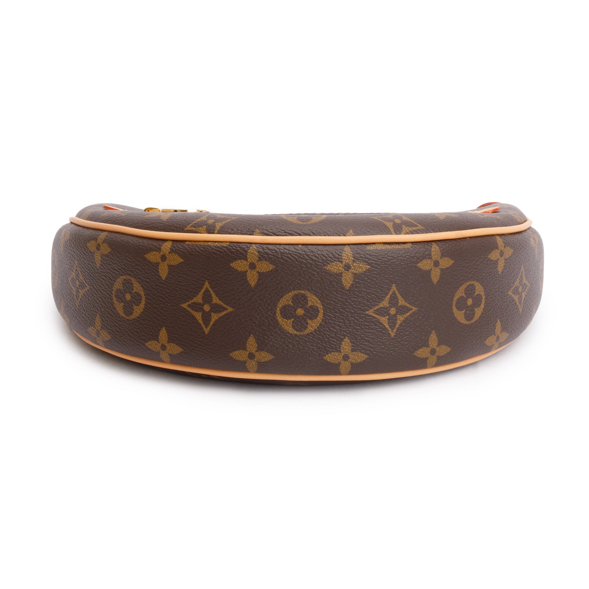 Louis Vuitton 2023 Monogram Loop Bag w/ Box