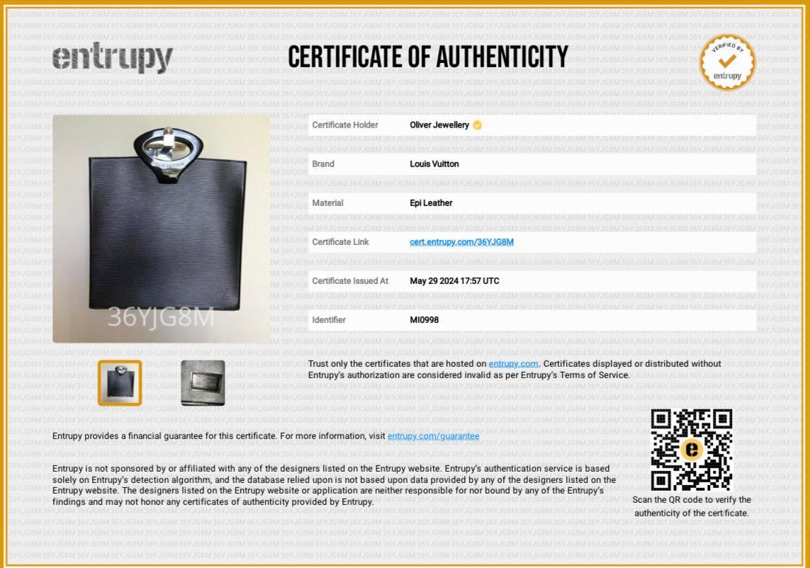 Louis Vuitton Black Epi Ombre Handle Bag