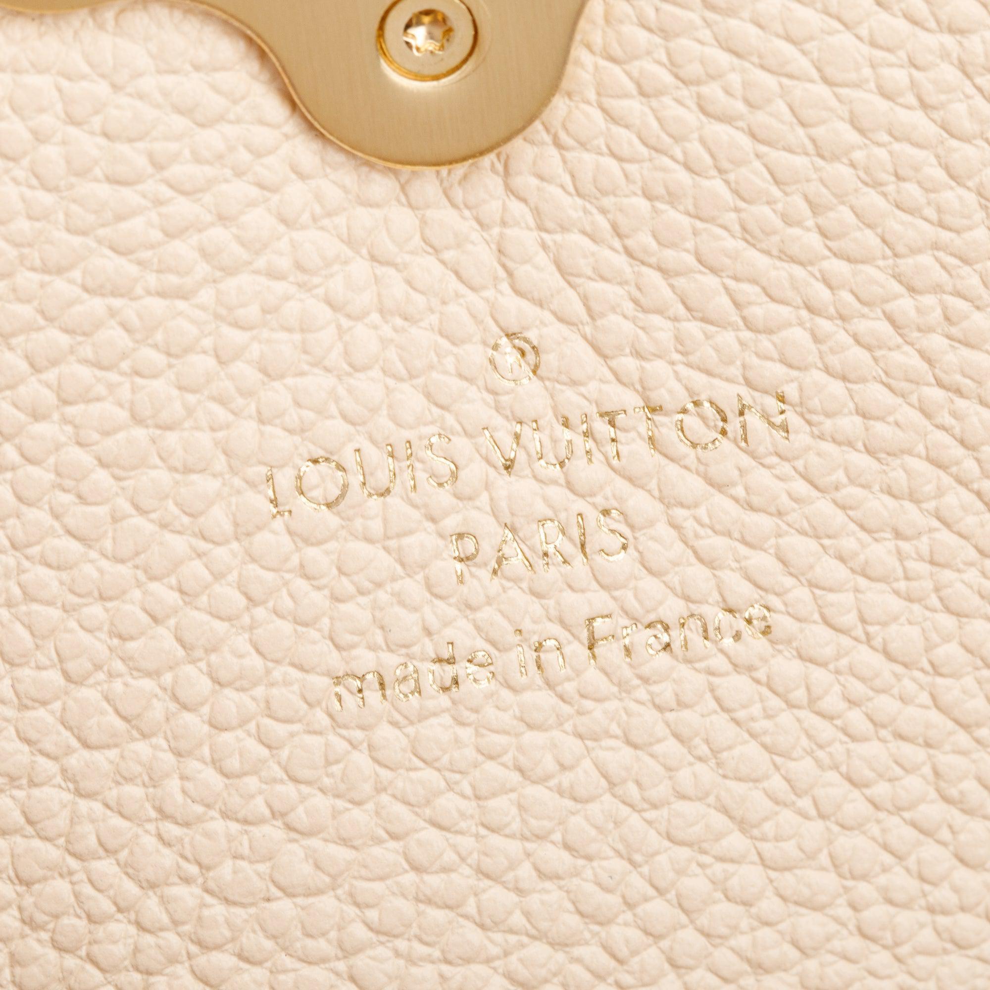 Louis Vuitton Damier Ebene Clapton Convertible Backpack w/ Box