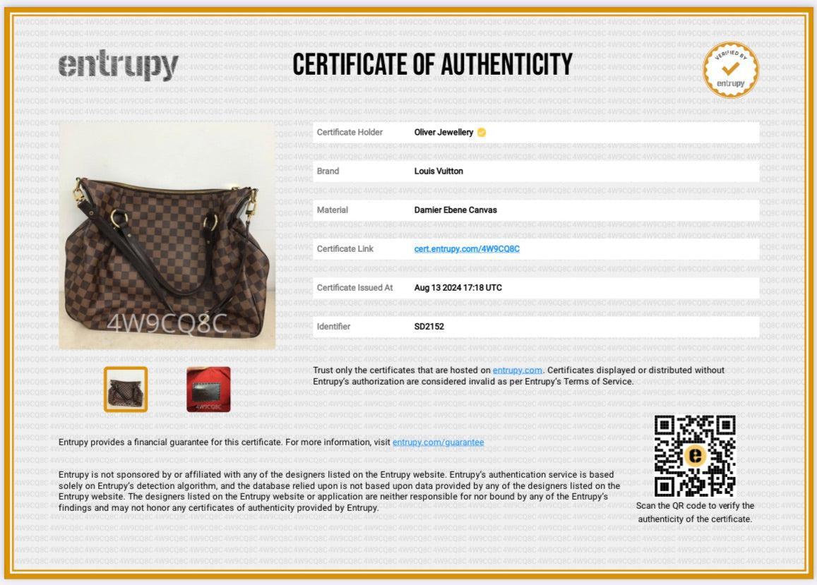 Louis Vuitton Damier Ebene Evora MM w/ Strap