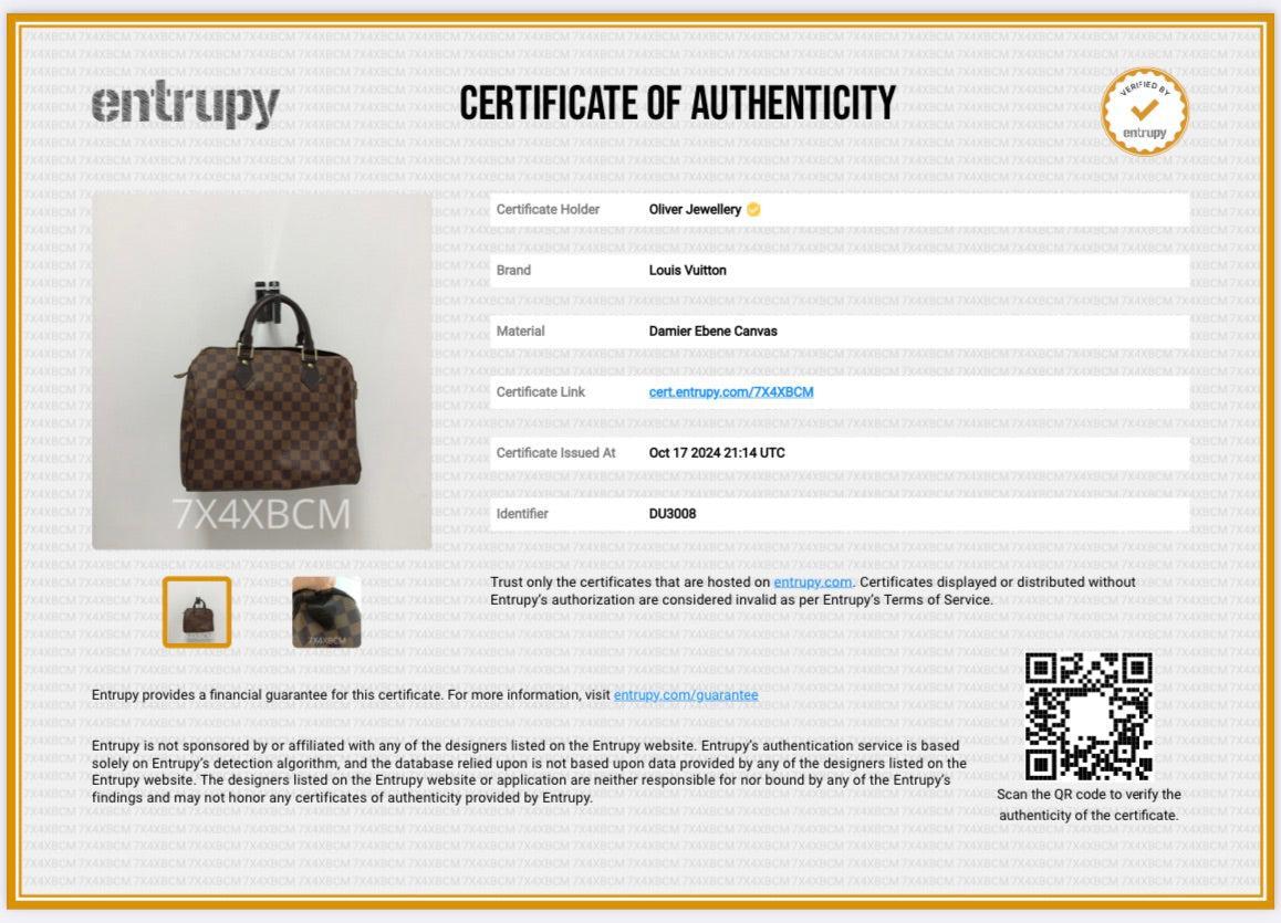 Louis Vuitton Damier Ebene Speedy 30