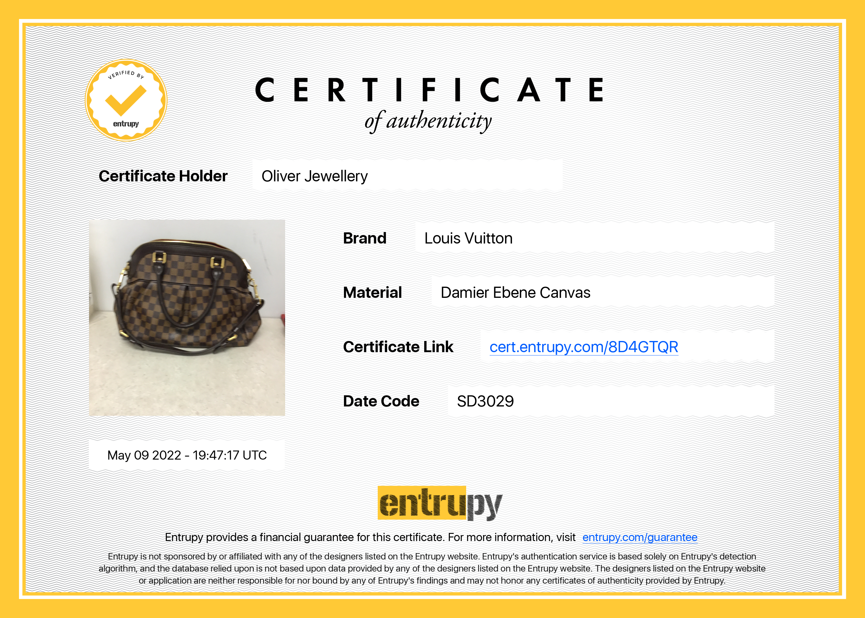 Louis Vuitton Damier Ebene Trevi PM