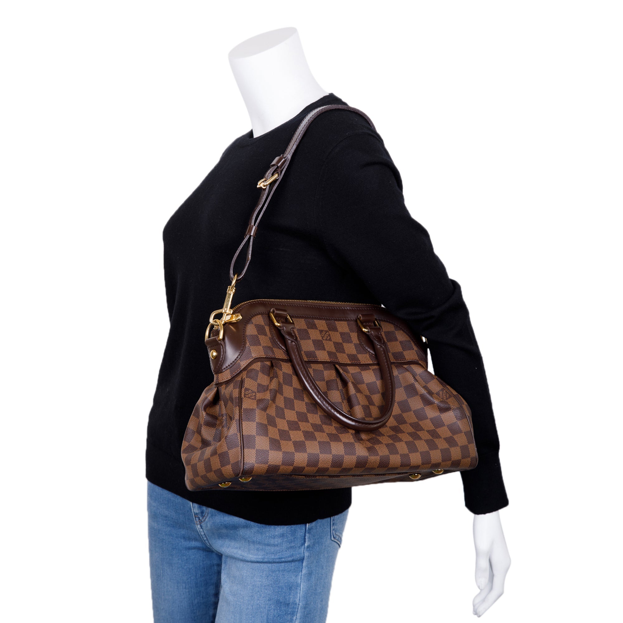 Louis Vuitton Damier Ebene Trevi PM