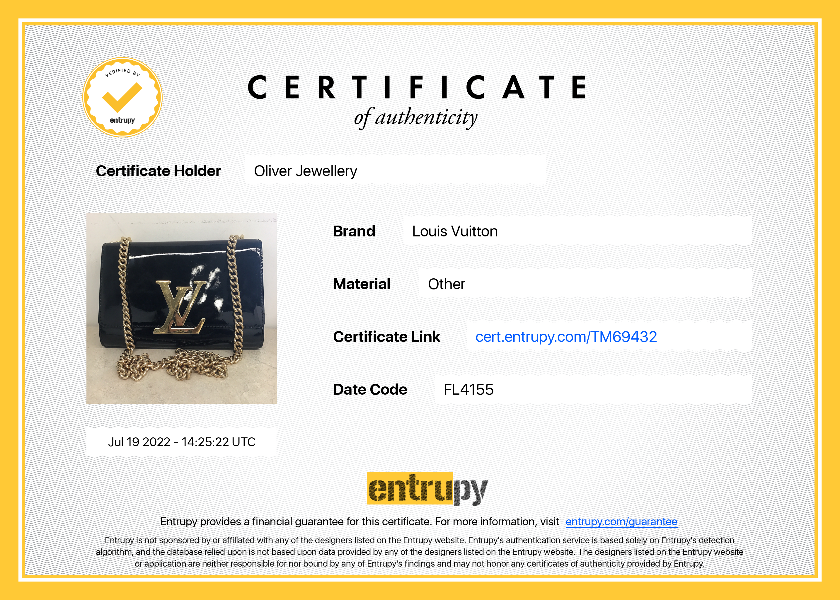 Louis Vuitton Louise Chain Clutch GM