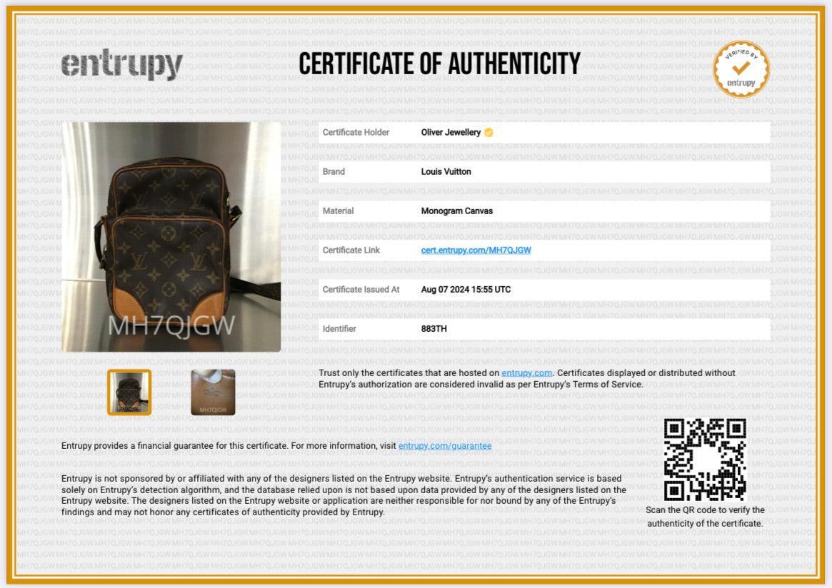 Louis Vuitton Monogram Amazone Crossbody Bag