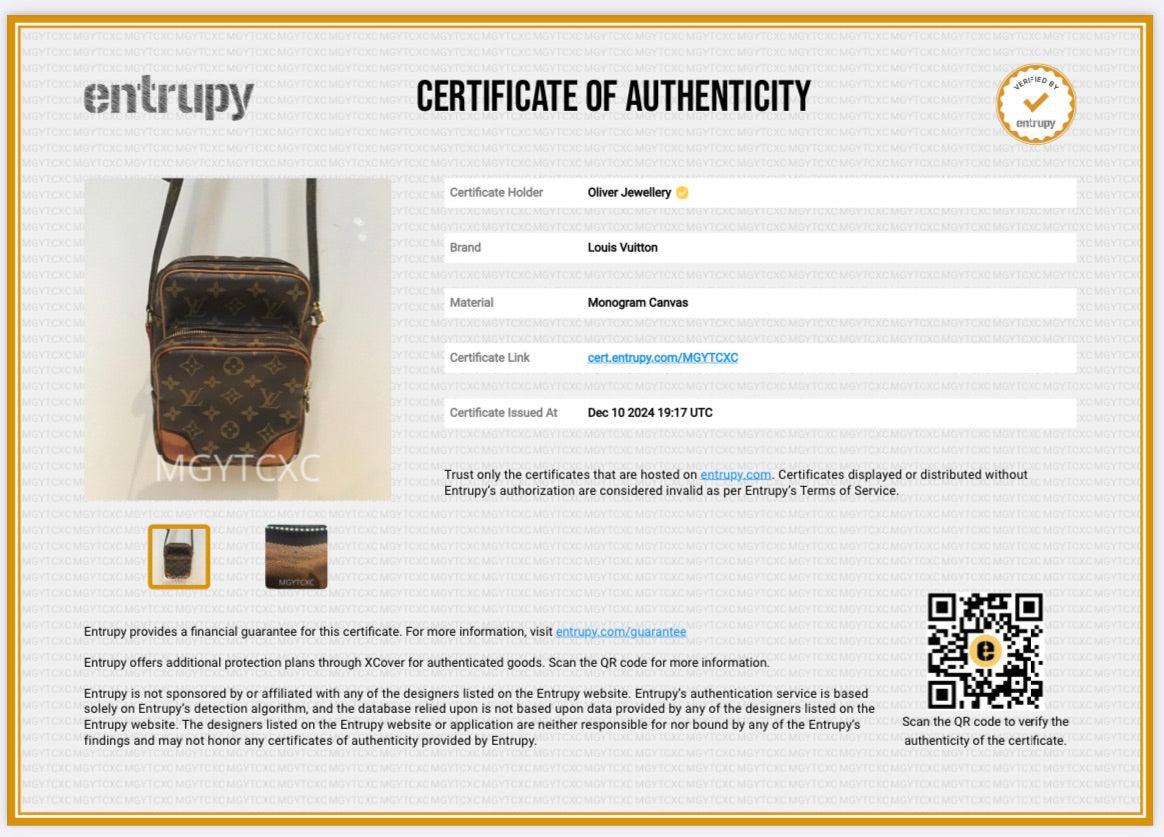 Louis Vuitton Monogram Amazone Crossbody Bag