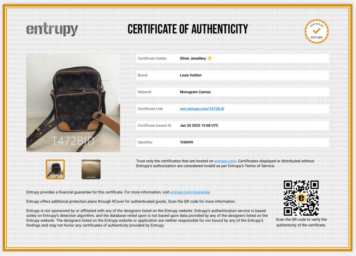 Louis Vuitton Monogram Amazone Crossbody Bag