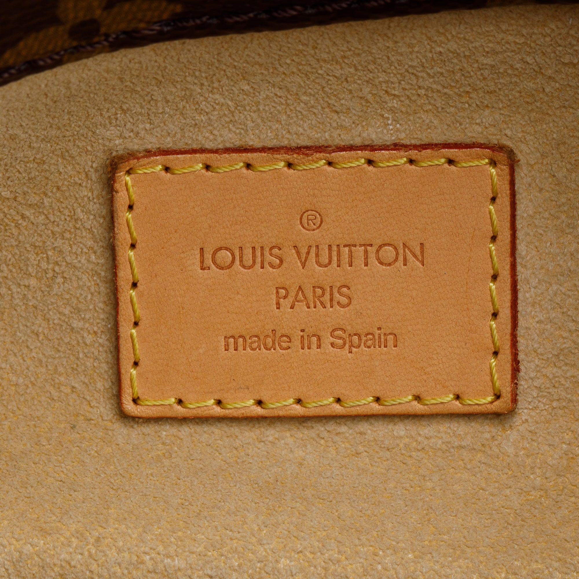 Louis Vuitton Monogram Artsy MM