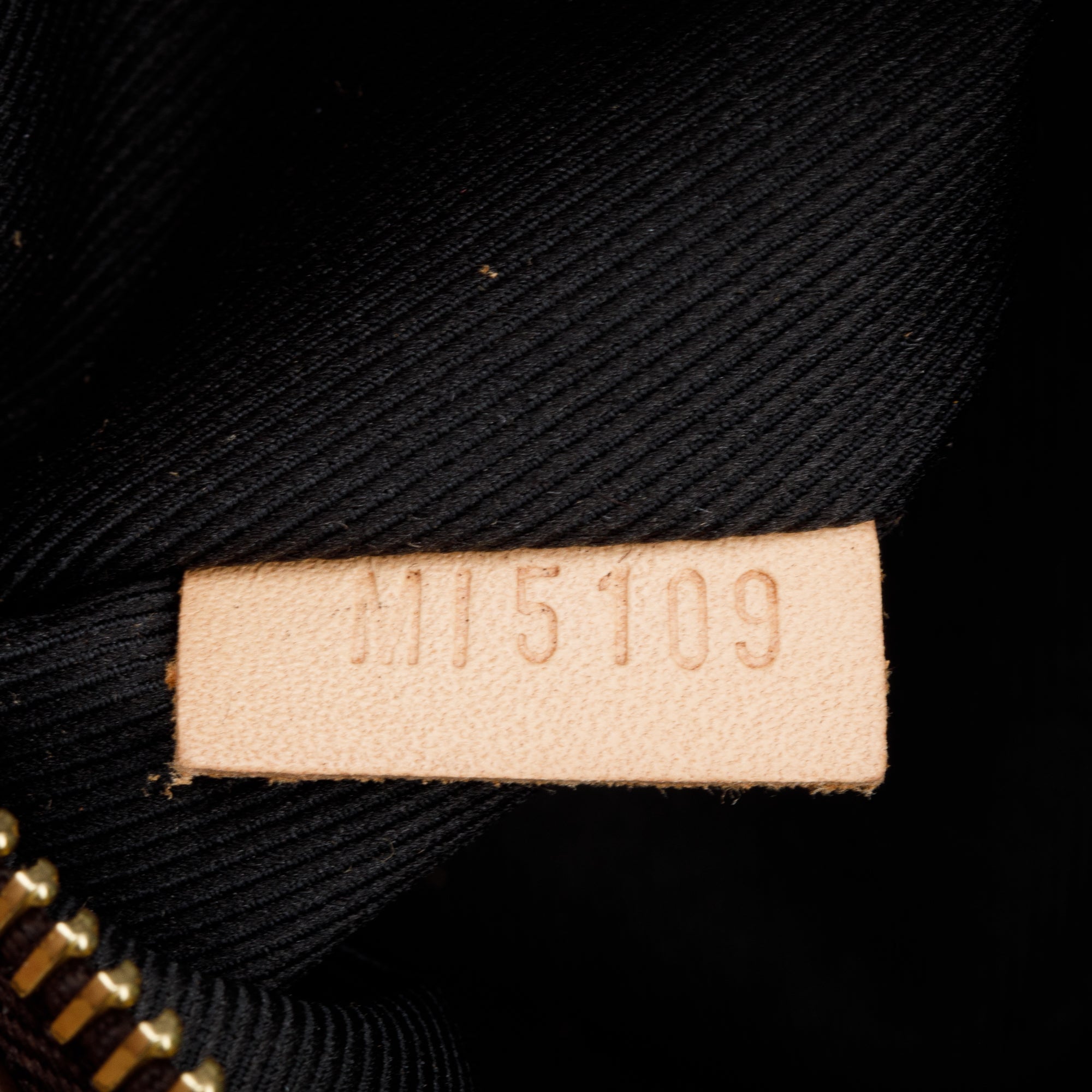 Louis Vuitton Monogram Bumbag