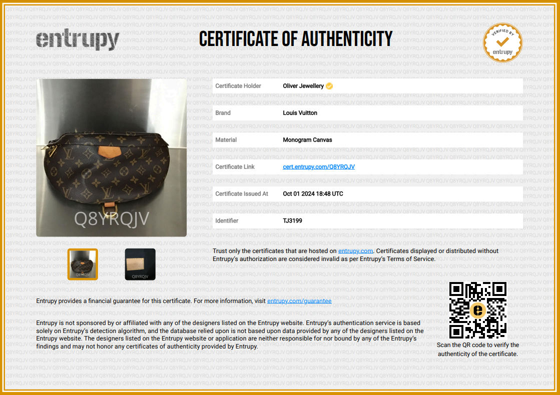 Louis Vuitton Monogram Bumbag