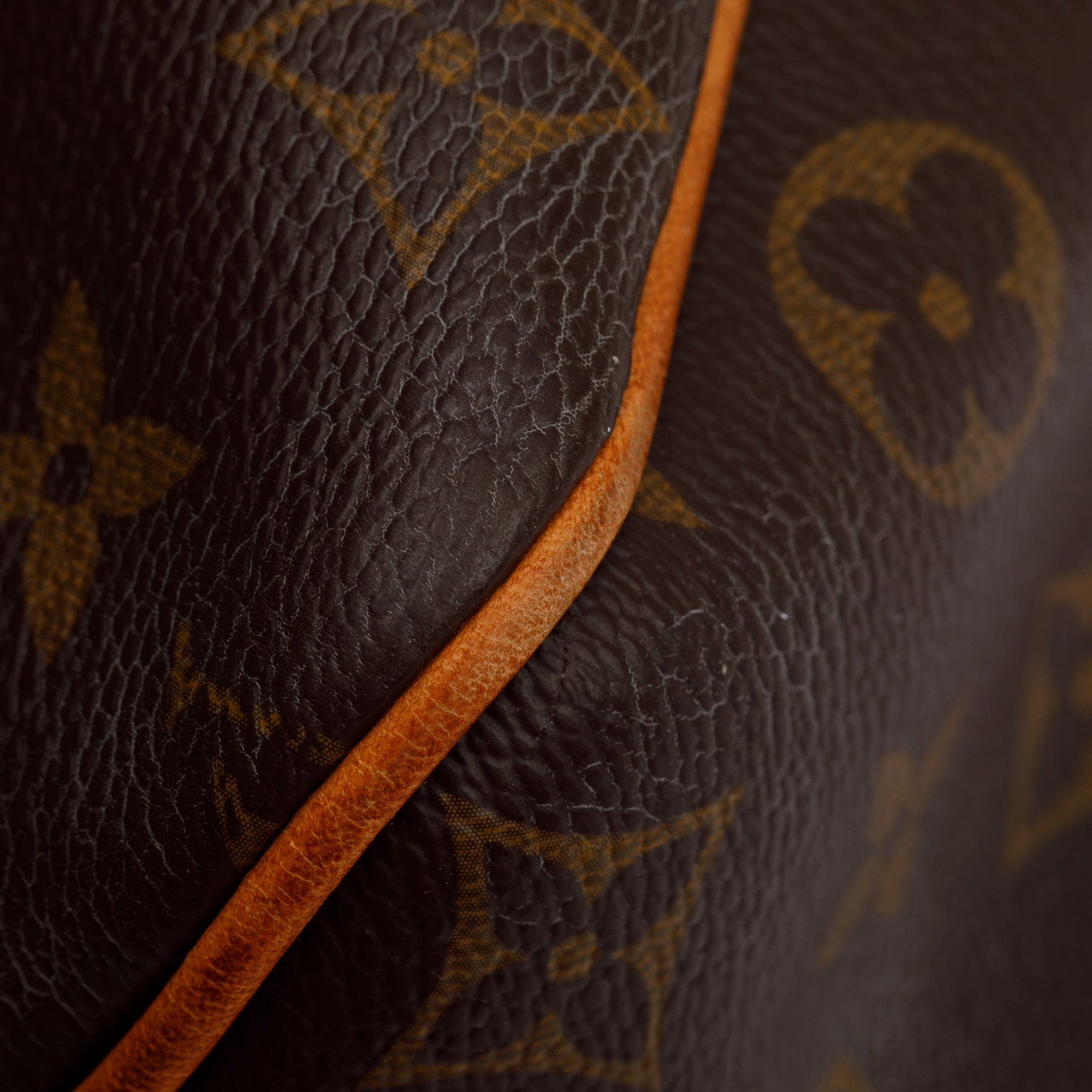 Louis Vuitton Monogram Delightful PM Bag