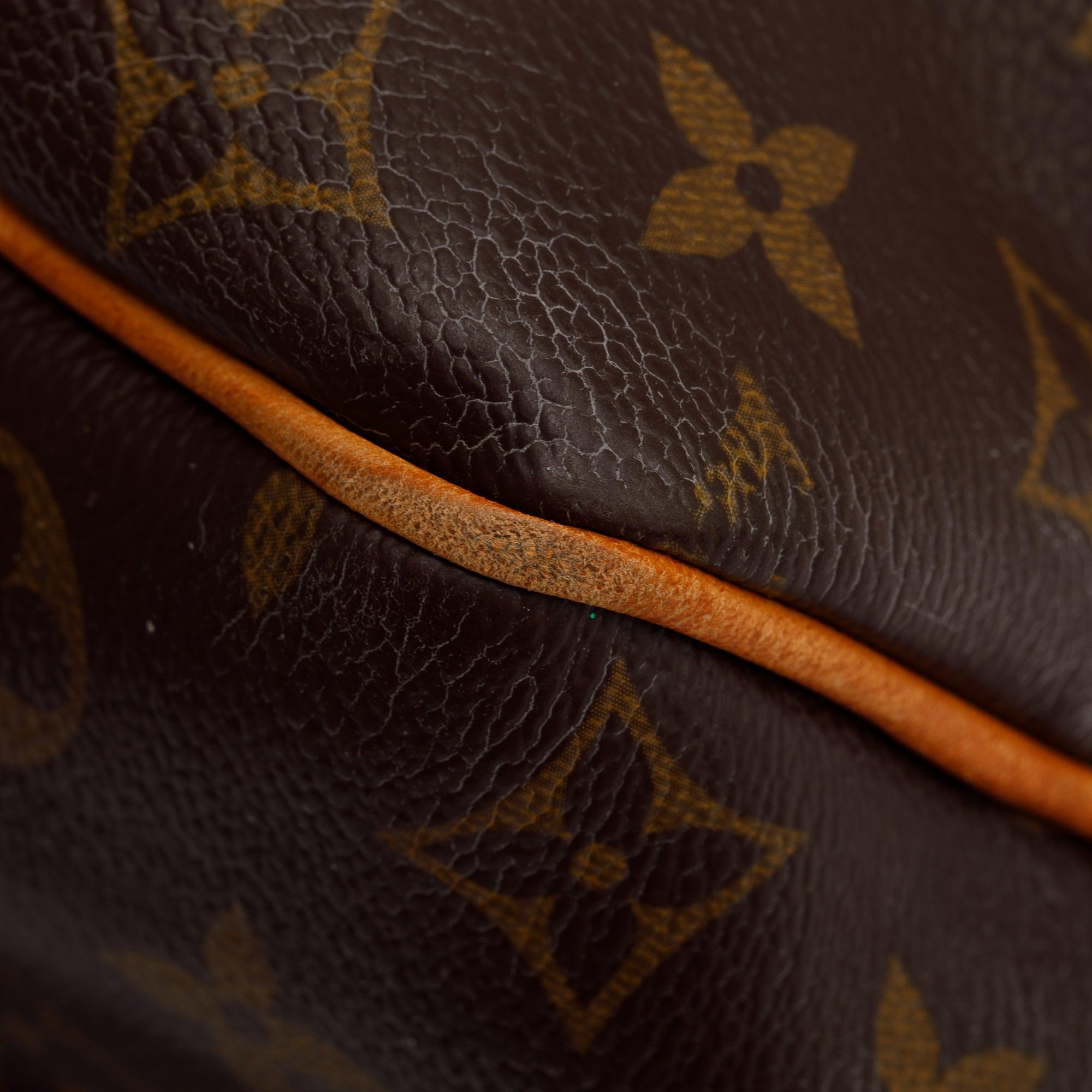 Louis Vuitton Monogram Delightful PM Bag