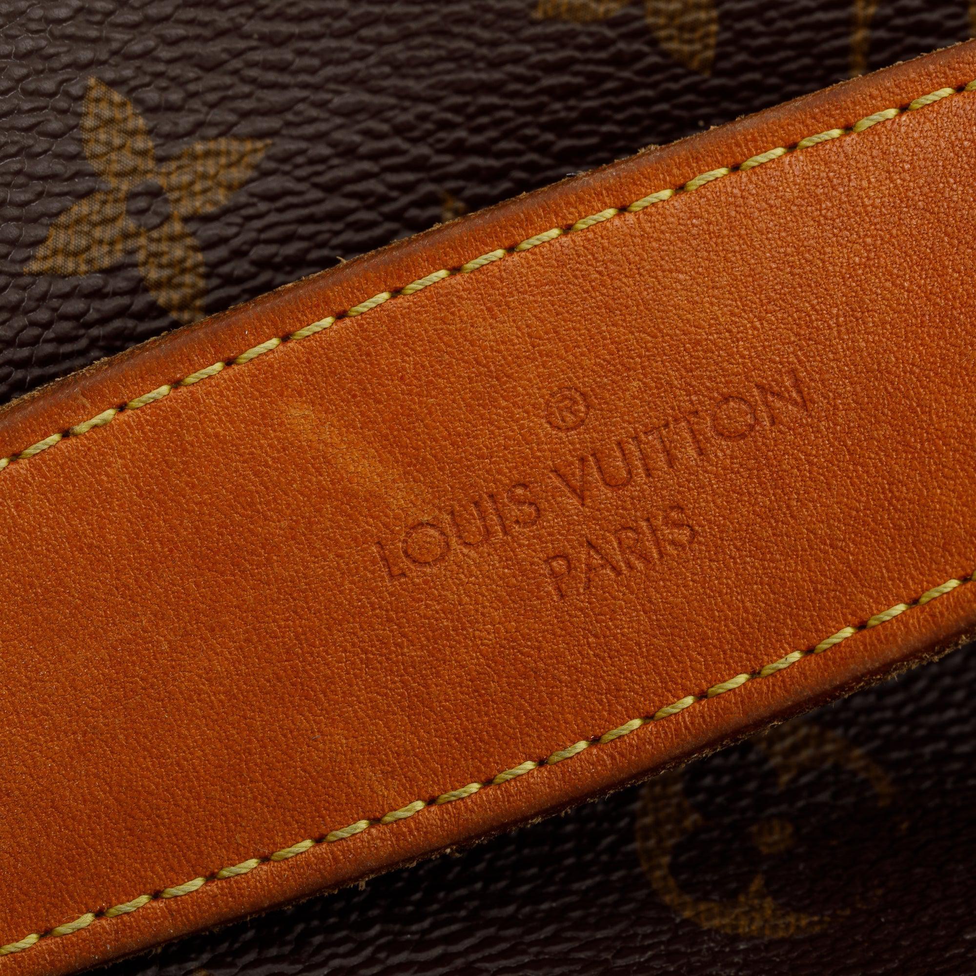 Louis Vuitton Monogram Delightful PM Bag