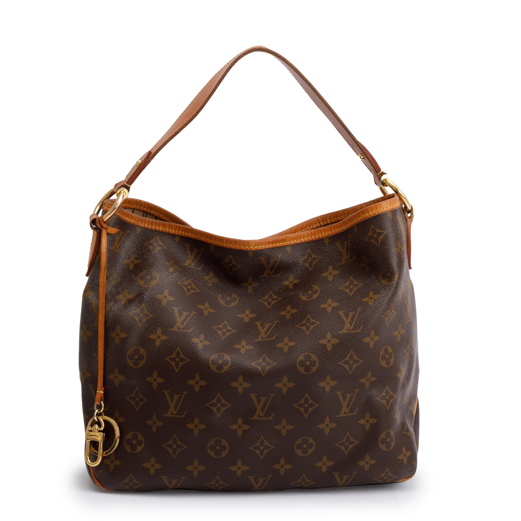 Louis Vuitton Monogram Delightful PM Bag