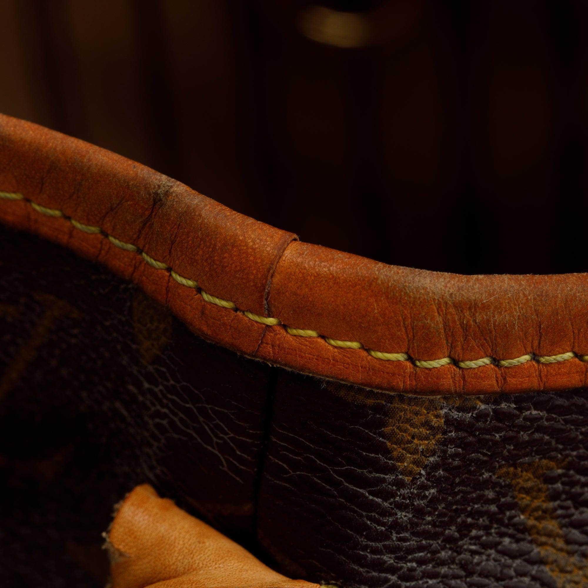 Louis Vuitton Monogram Delightful PM Bag