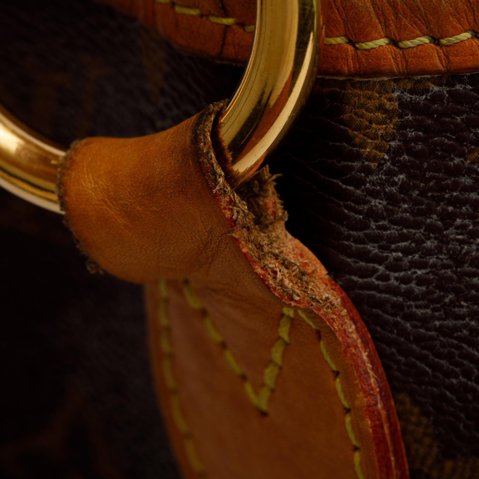 Louis Vuitton Monogram Delightful PM Bag