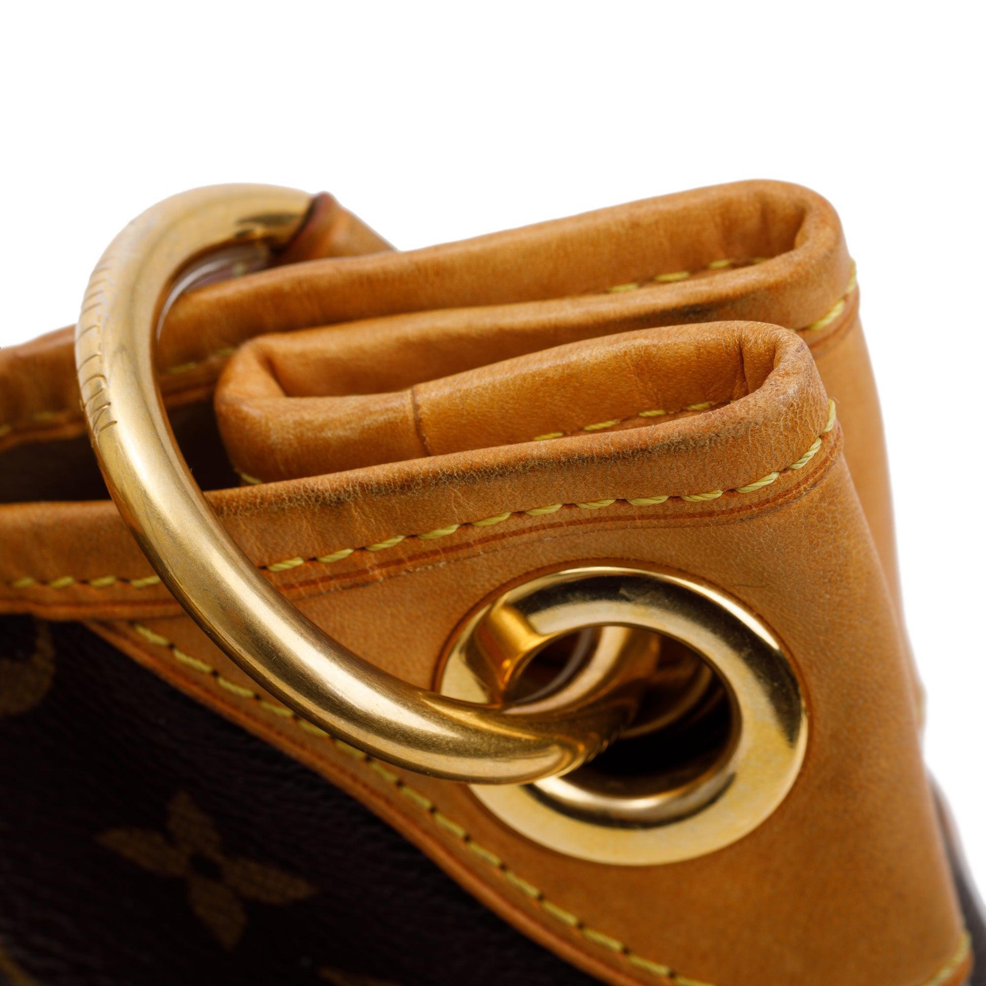 Louis Vuitton Monogram Galleria PM