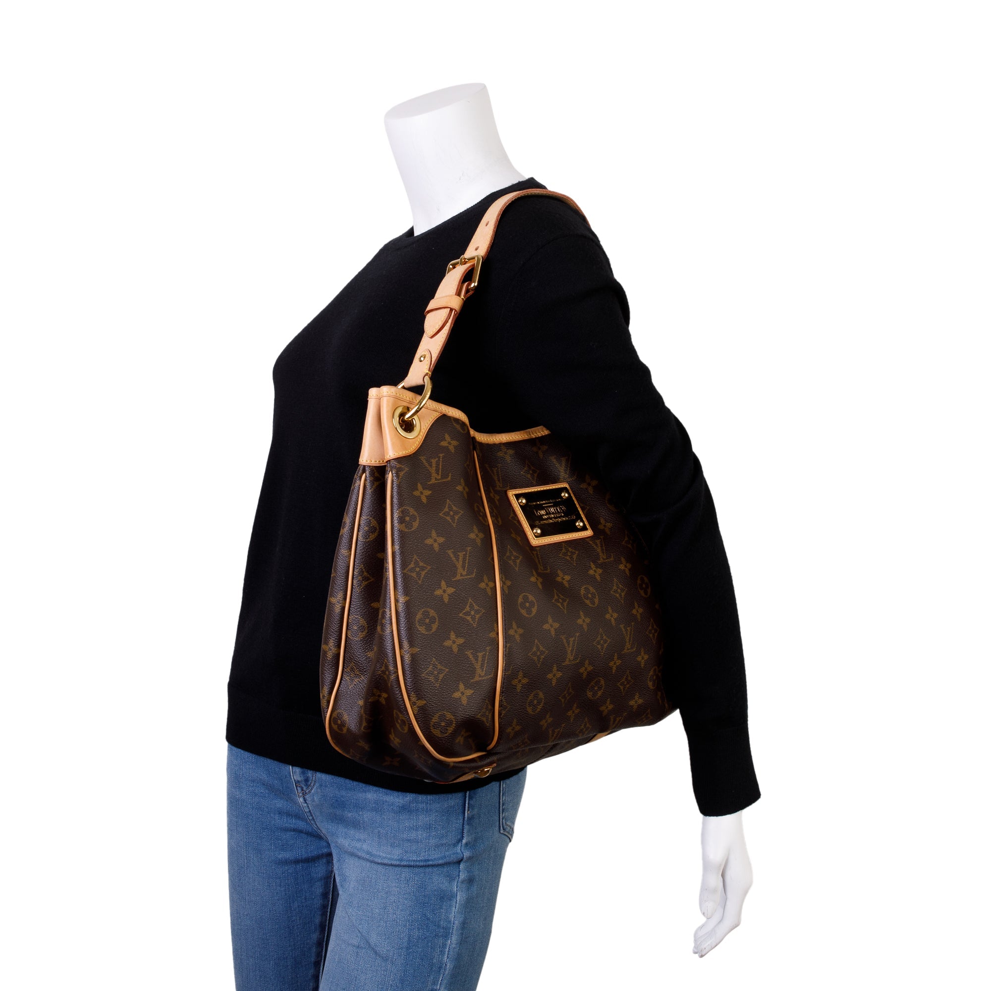 Louis Vuitton Monogram Galleria PM