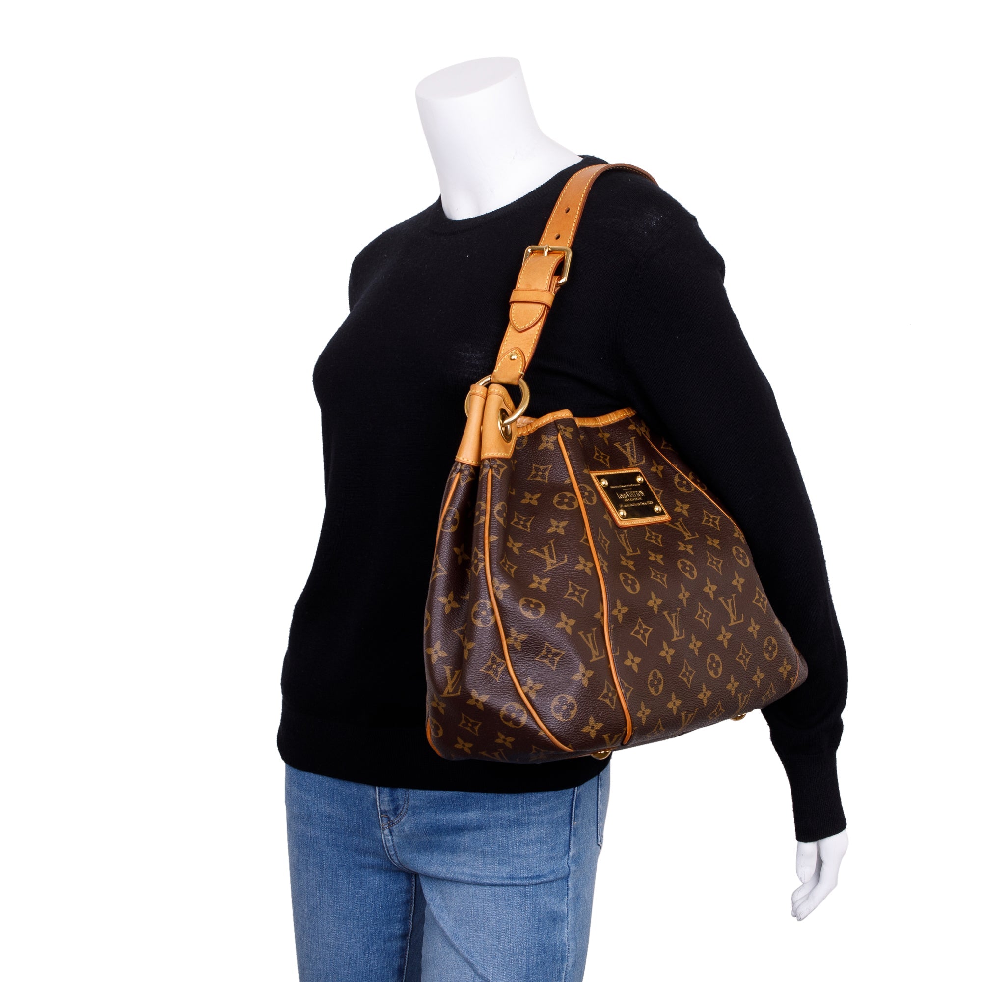 Louis Vuitton Monogram Galleria PM