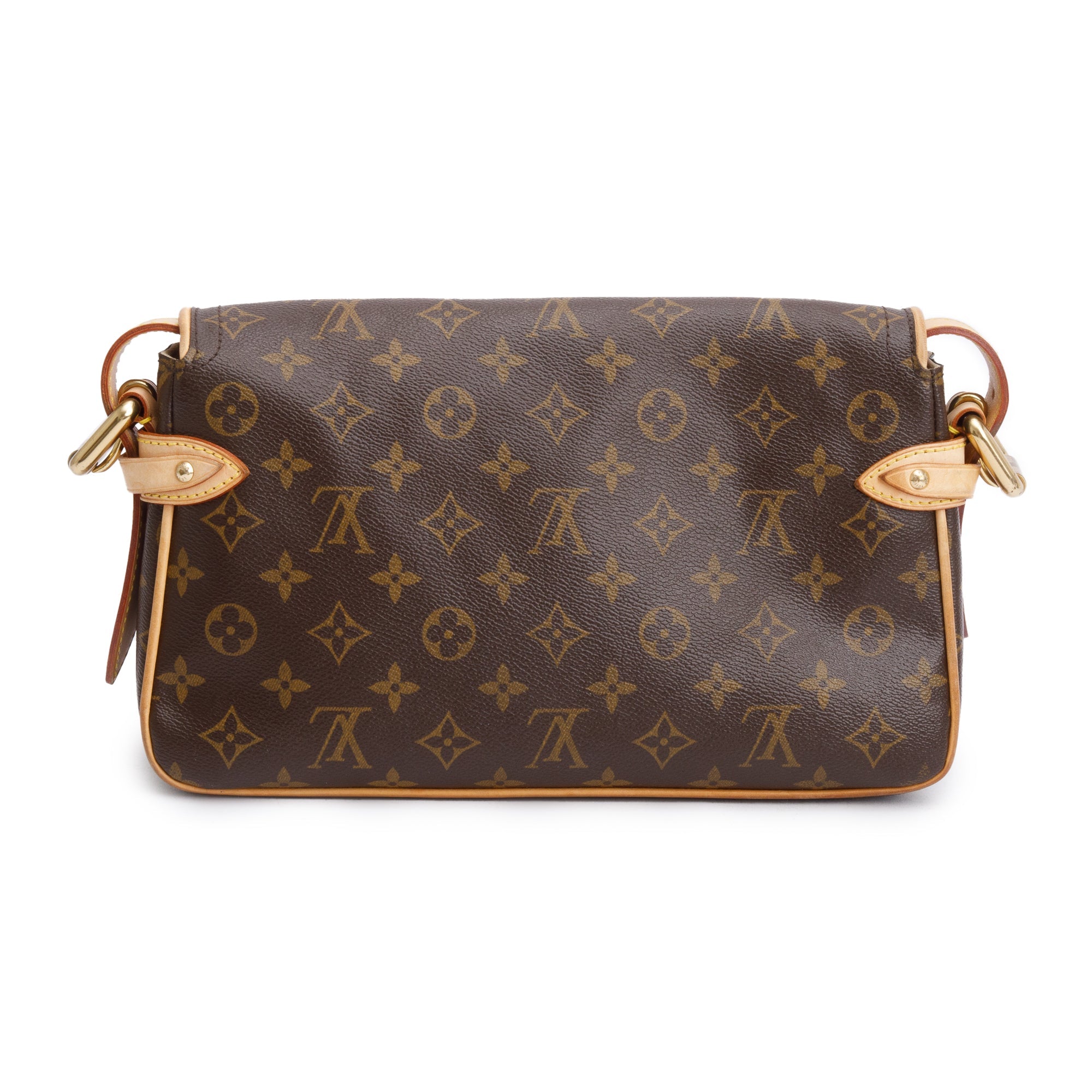 Louis Vuitton Monogram Hudson PM