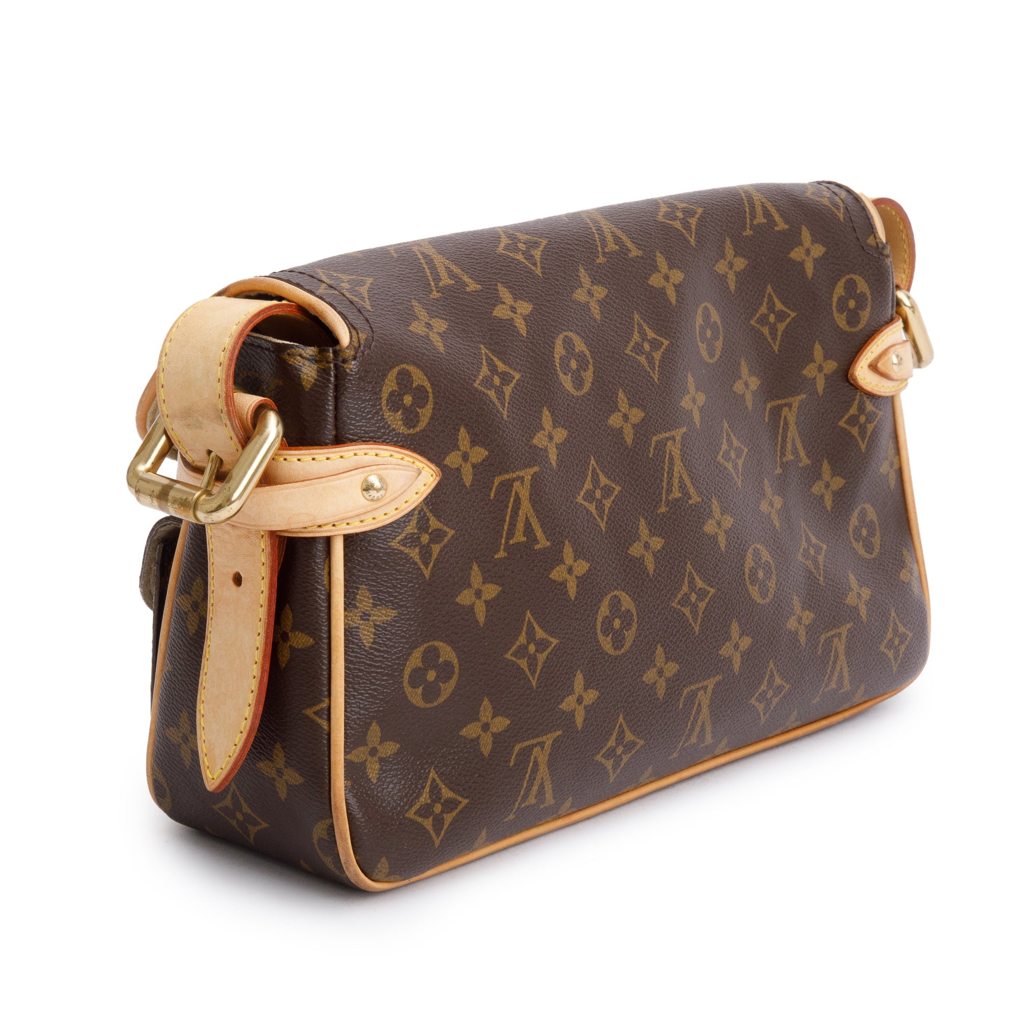 Louis Vuitton Monogram Hudson PM
