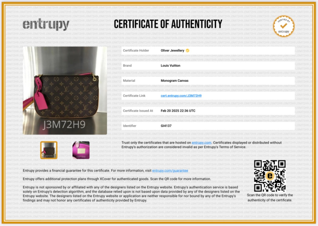 Louis Vuitton Monogram Lorette Bag