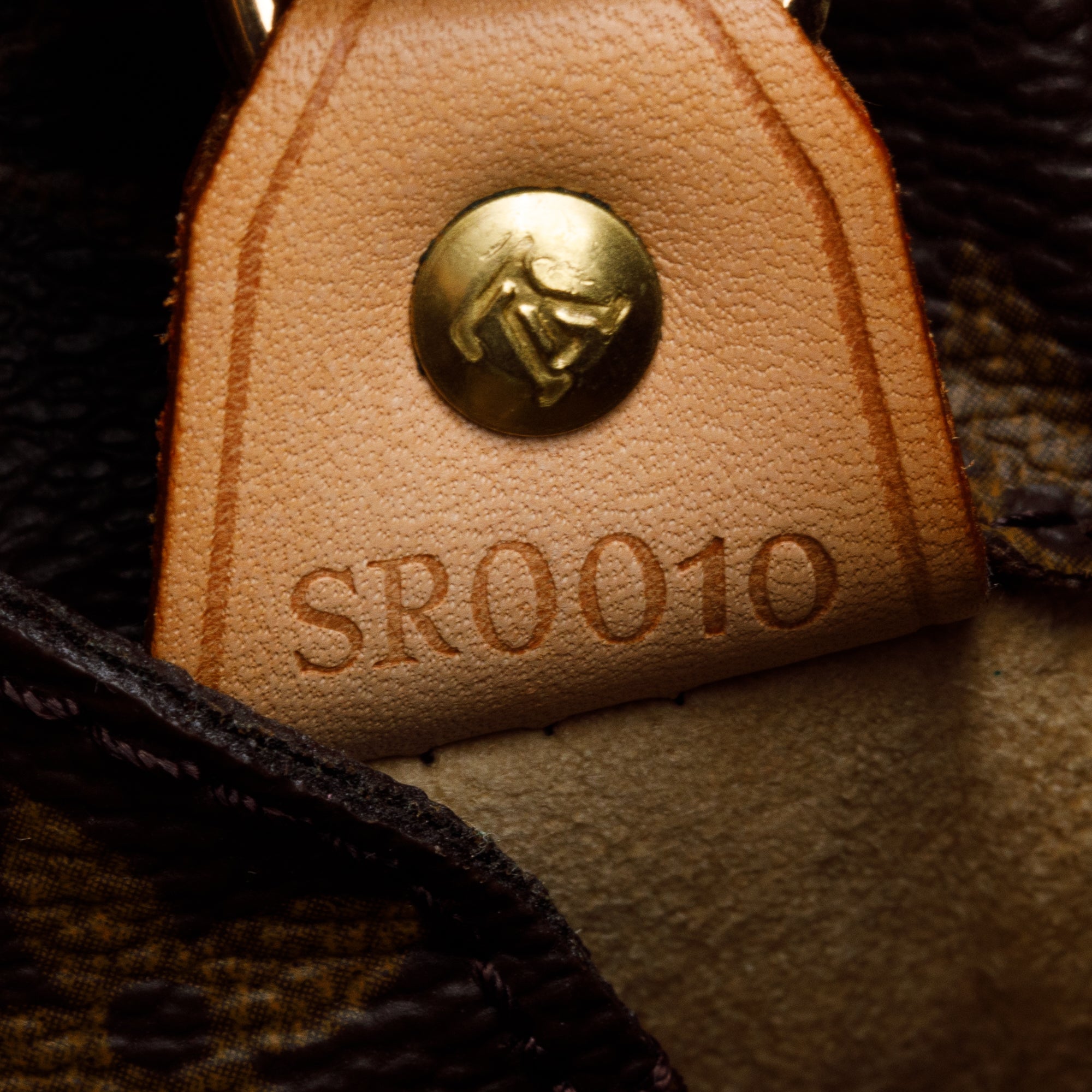 Louis Vuitton Monogram Luco Tote