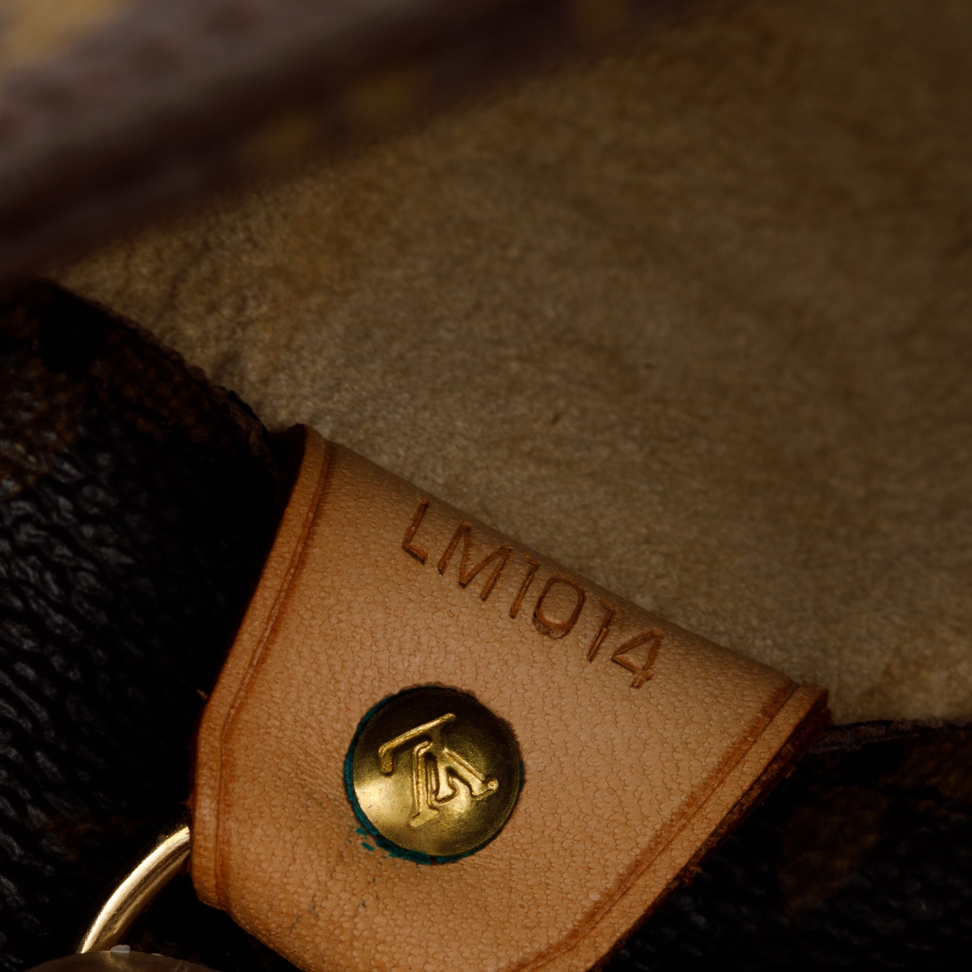 Louis Vuitton Monogram Luco Tote