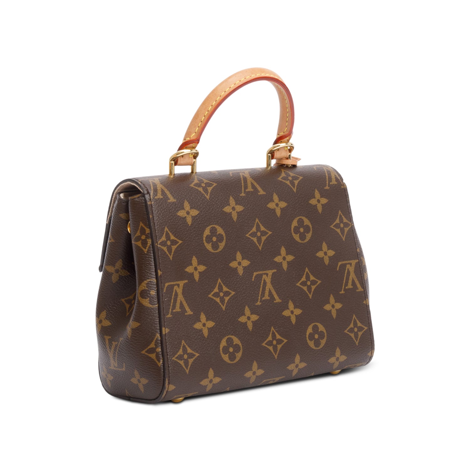 Louis Vuitton Monogram Mini Cluny w/ Strap & Box