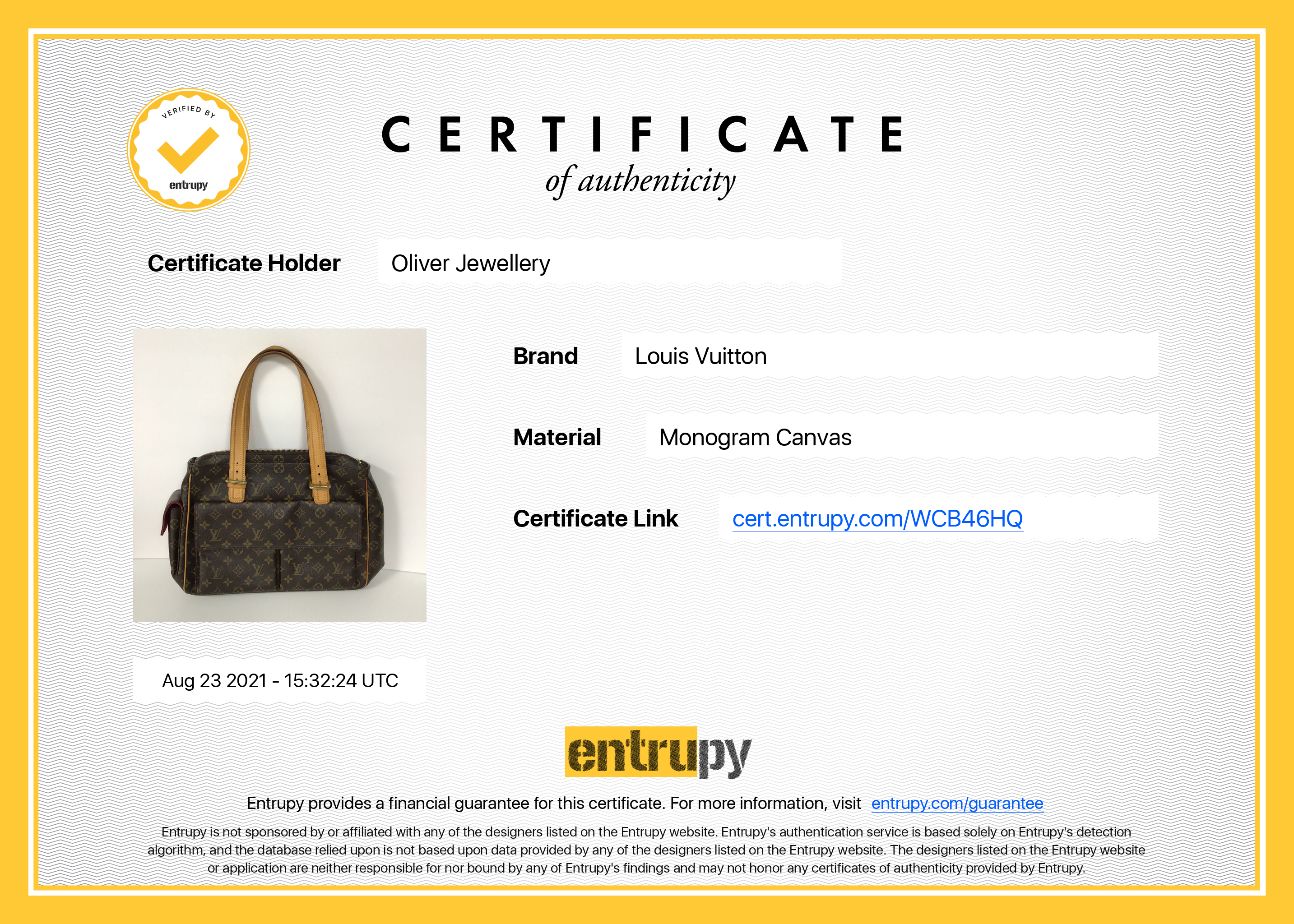 Louis Vuitton Monogram Multipli-Cite